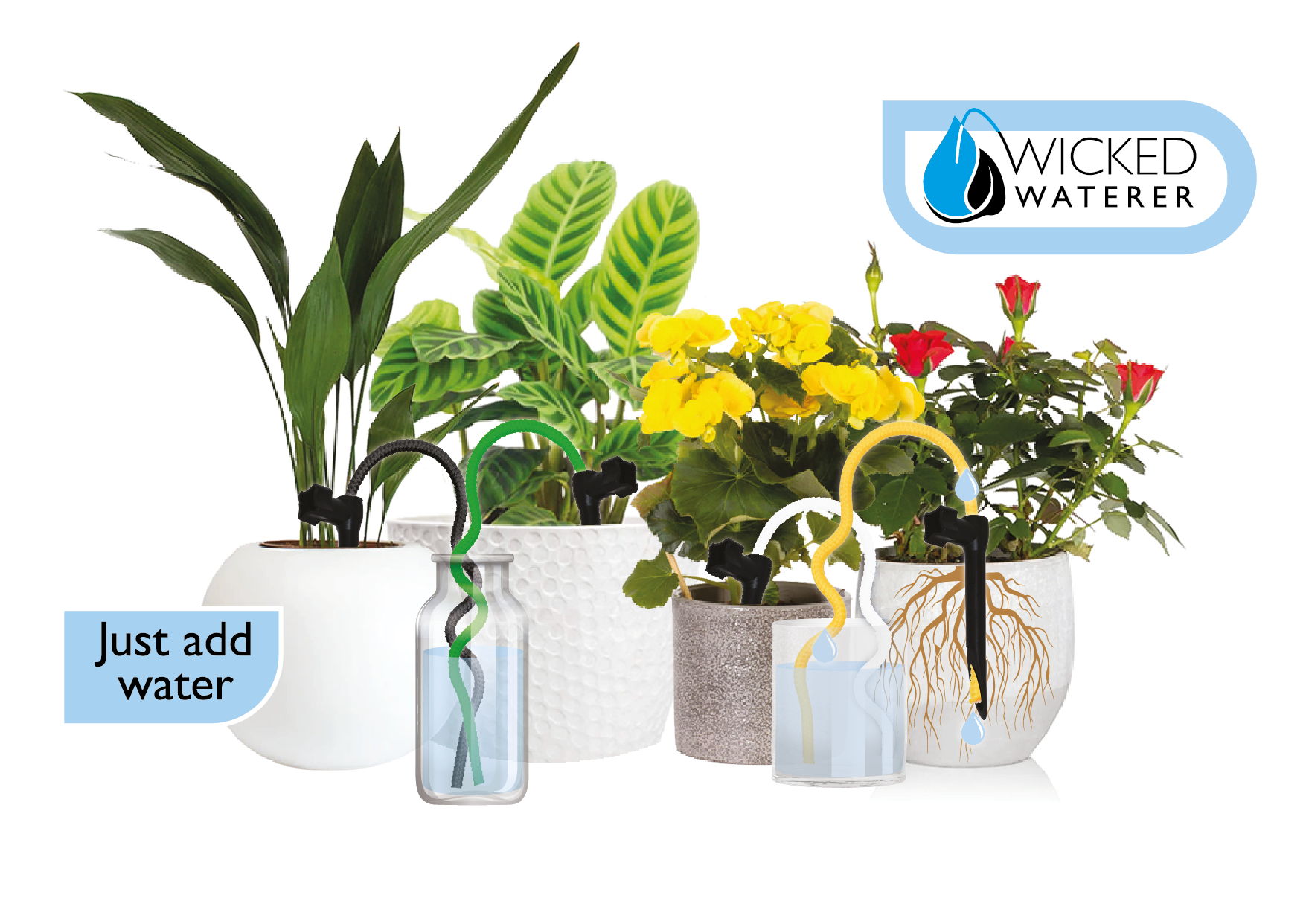 Plant Spike Watering Kit - pack of 4