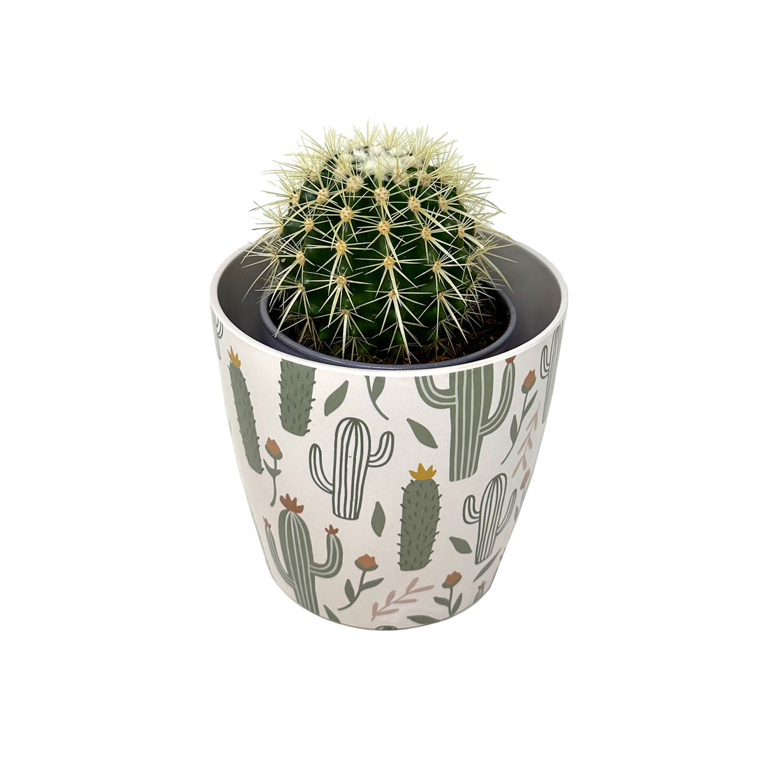 Self-Watering Bamboo Pot - 7" Cactus Round