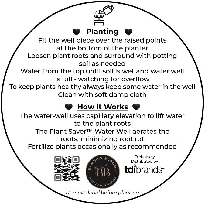 Self-Watering Bamboo Pot - 7" Cactus Round