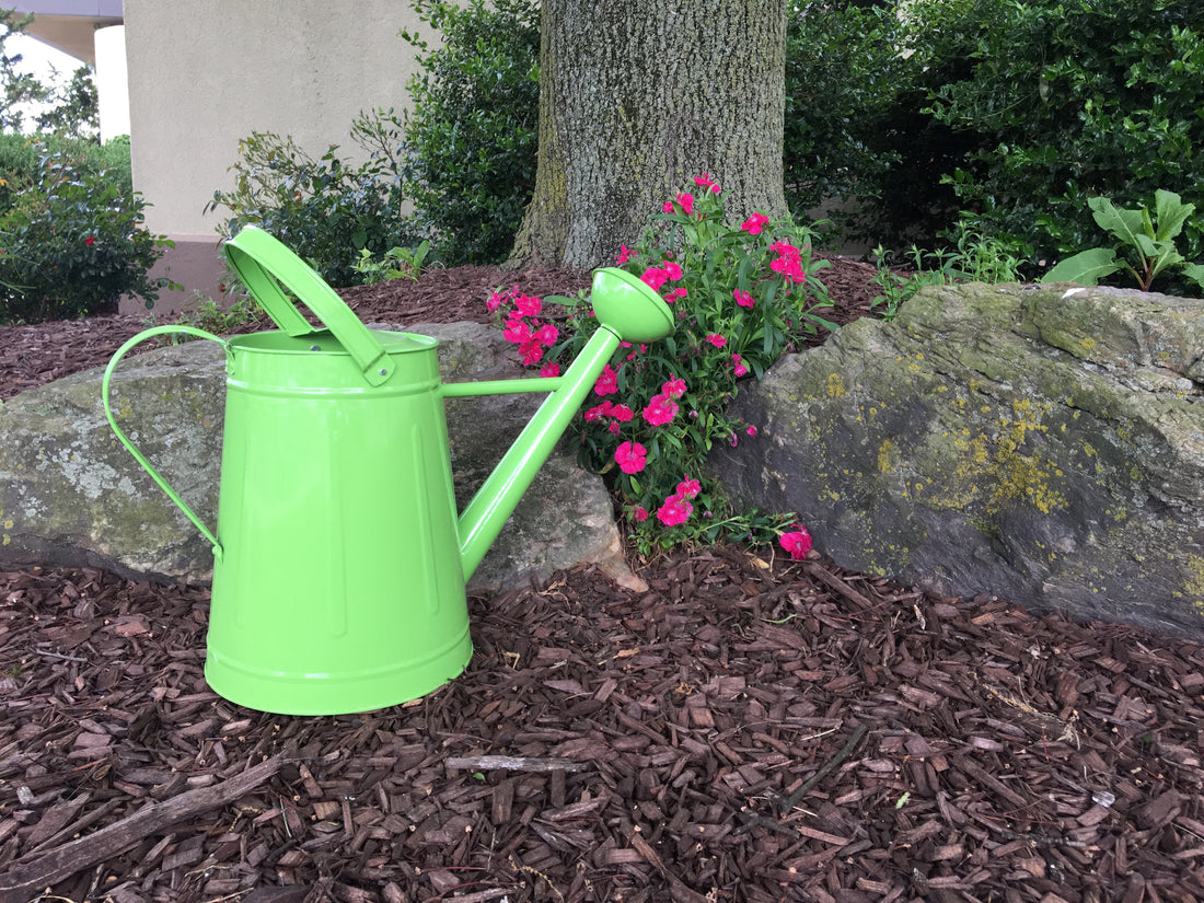 Metal Watering Can & Memory Foam Kneel Cushion Combo - 1.2 gal Green