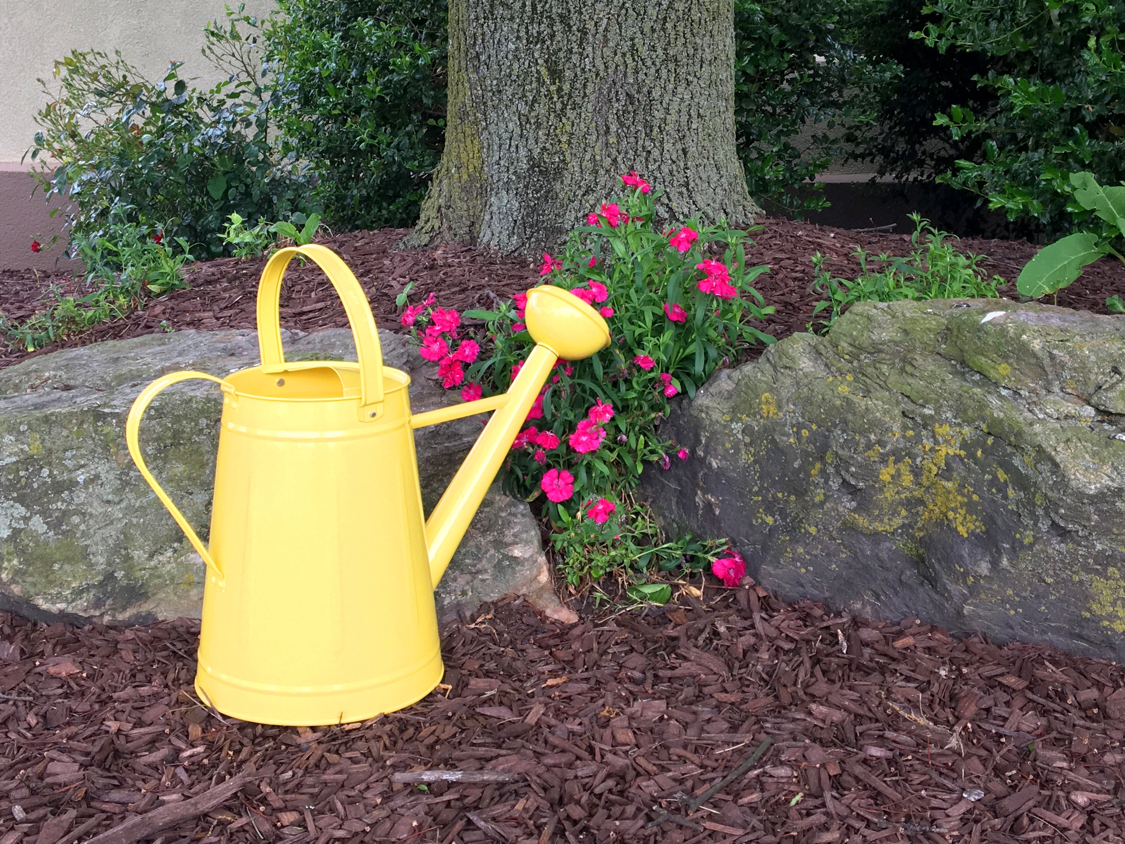 Metal Watering Can & Memory Foam Kneel Cushion Combo - 1.2 gal Yellow