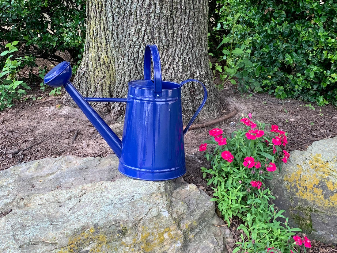 Metal Watering Can & Memory Foam Kneel Cushion Combo - 2.1 gal Blue
