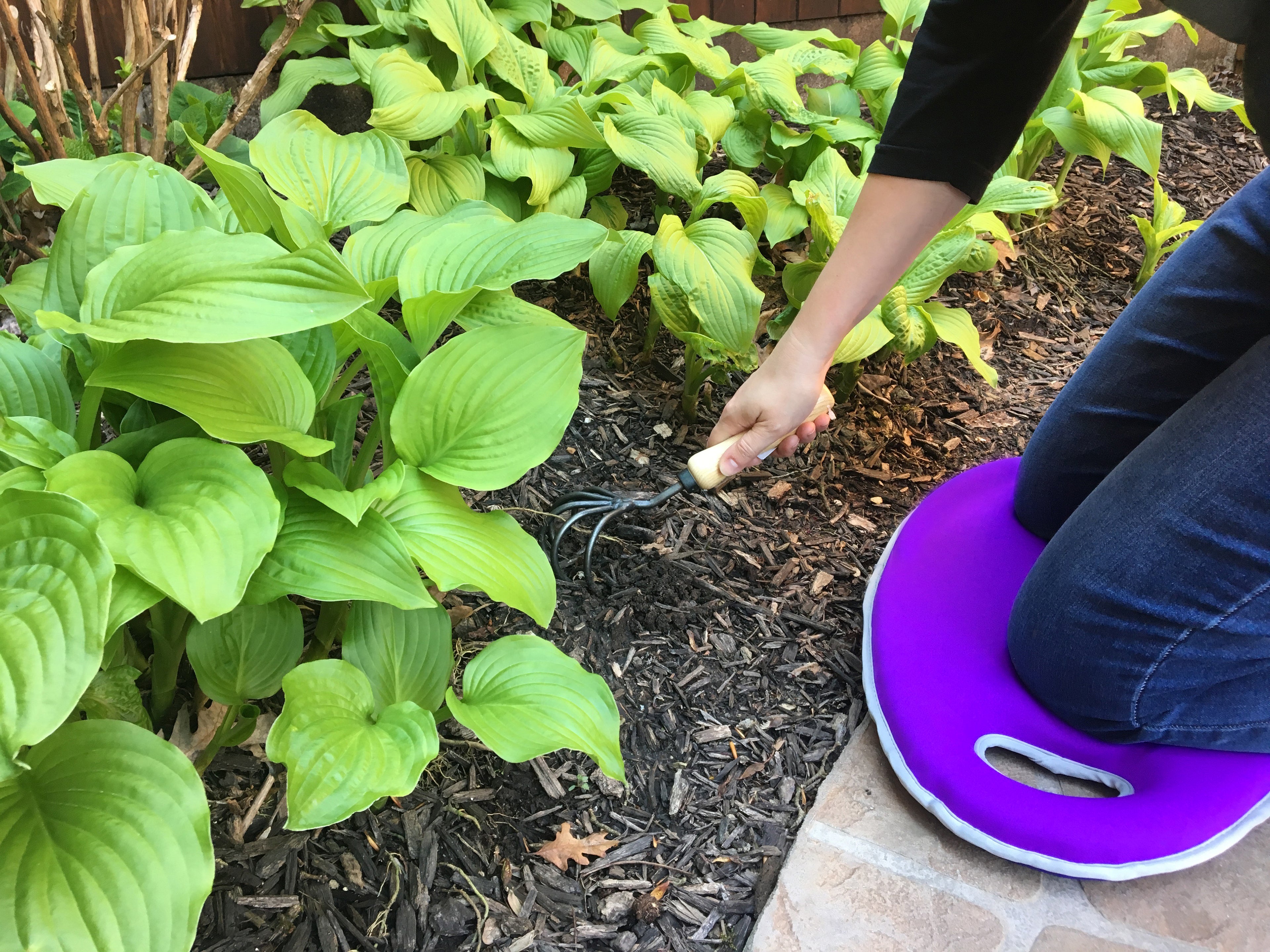 Metal Watering Can & Memory Foam Kneel Cushion - 2.1 gal Violet