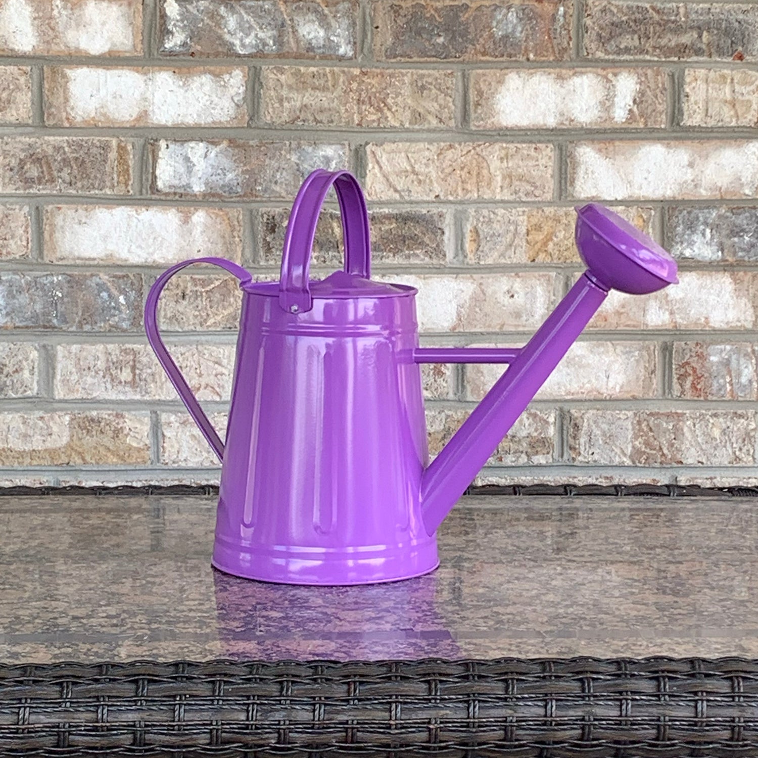 Metal Watering Can - 1.2 gal Violet