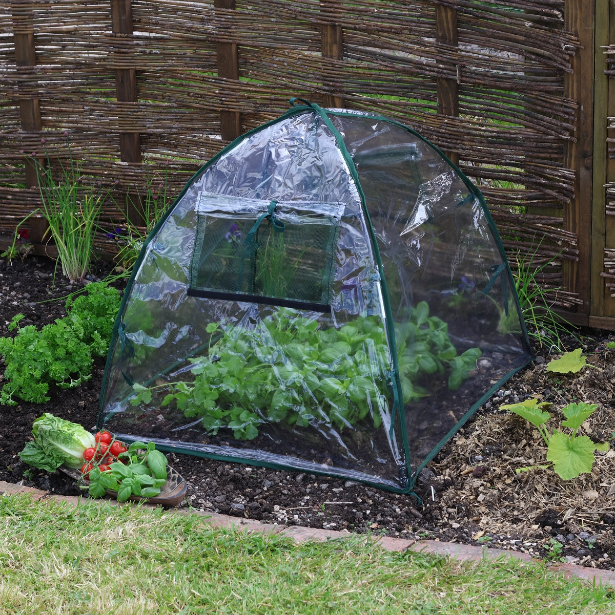 Easy Poly Dome - Standard