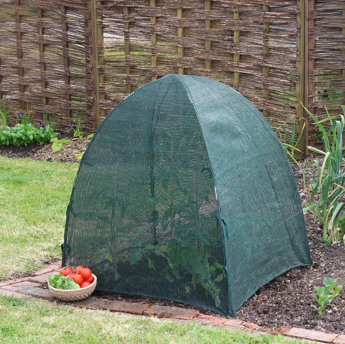 Easy Net Dome - Giant