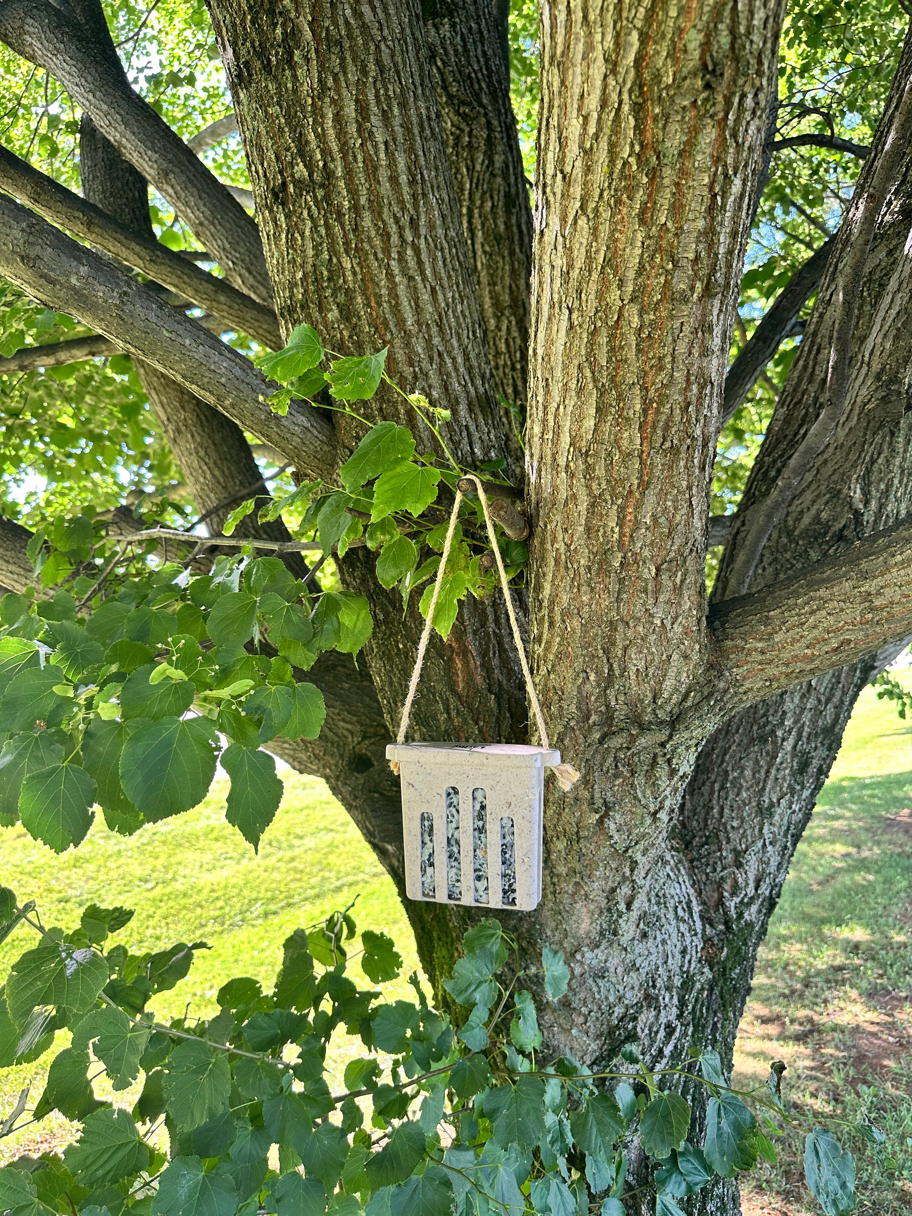 Suet Cake Feeder - Coffee Husks