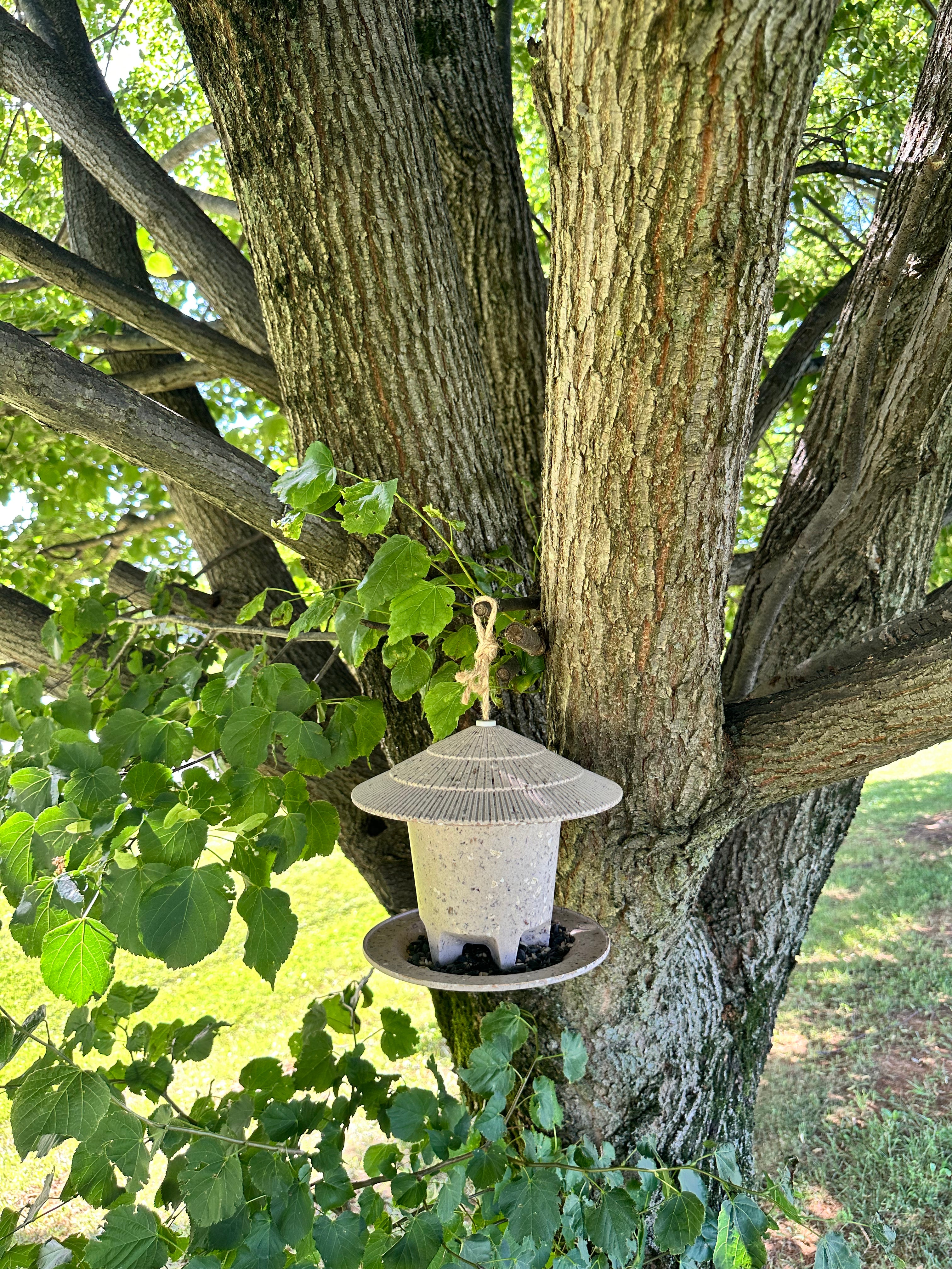 Deluxe Round Bird Feeder - Coffee Husks