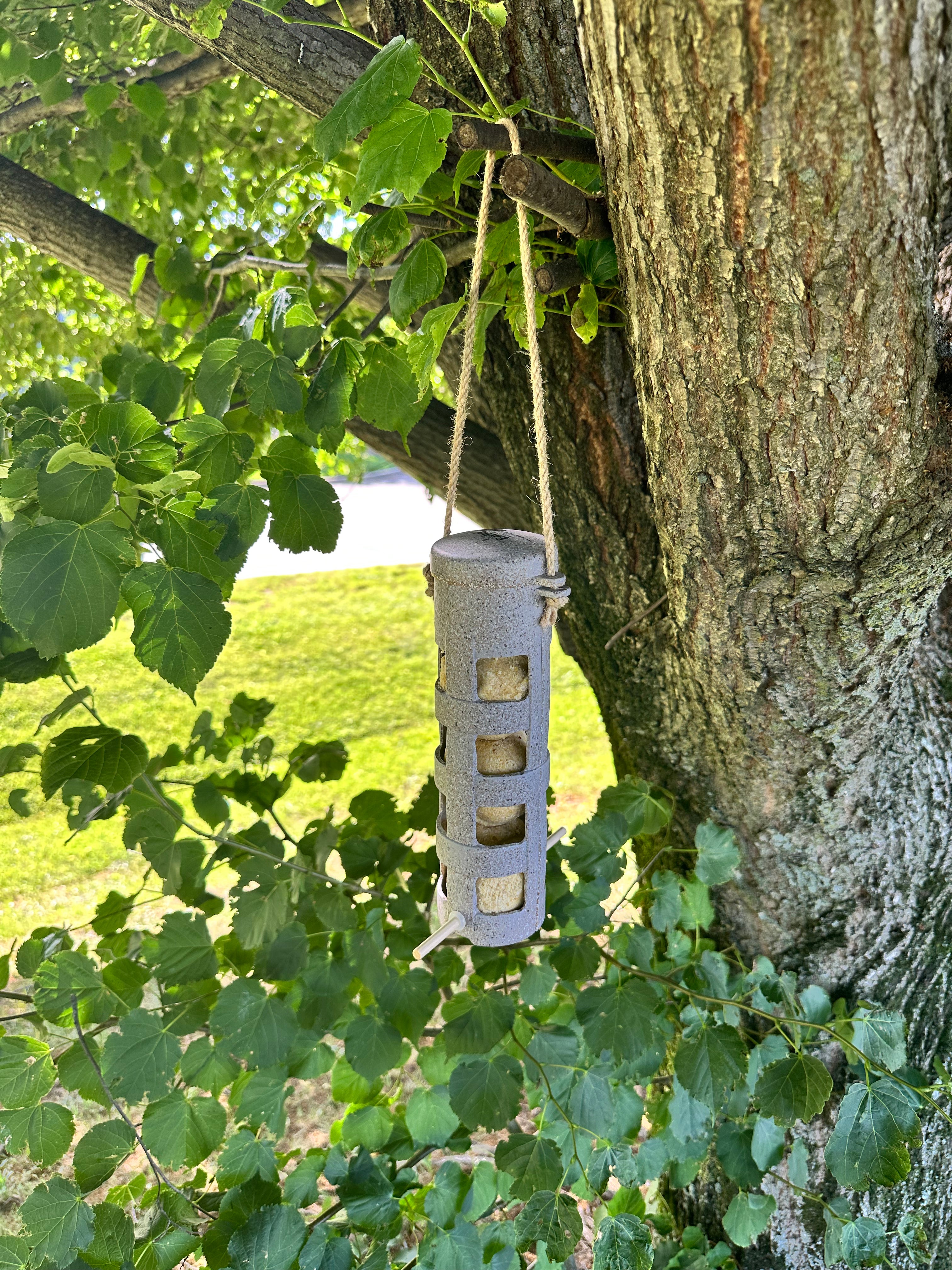 Suet Ball Feeder - Nut Husks