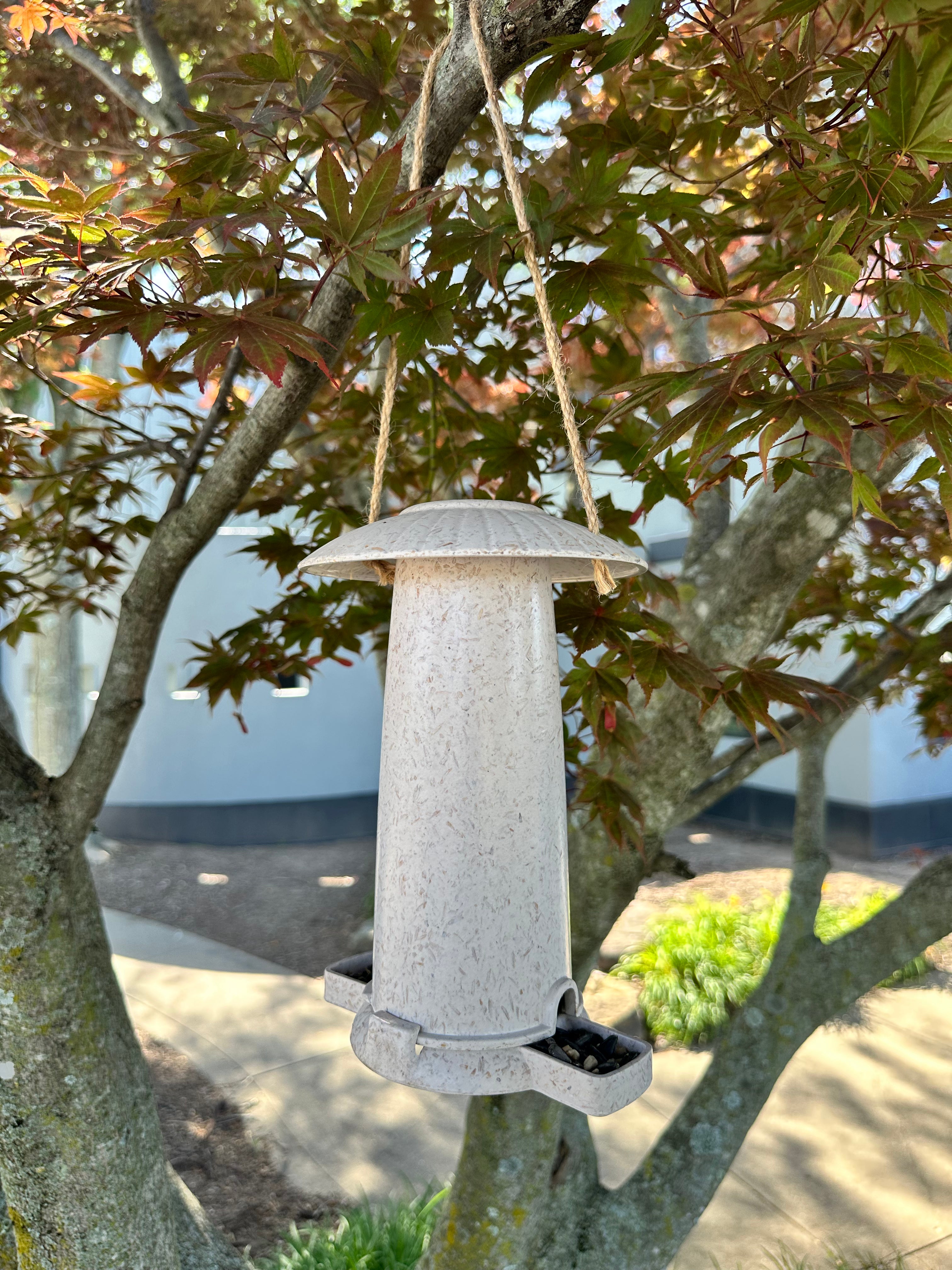 Seed Feeder - Chaff