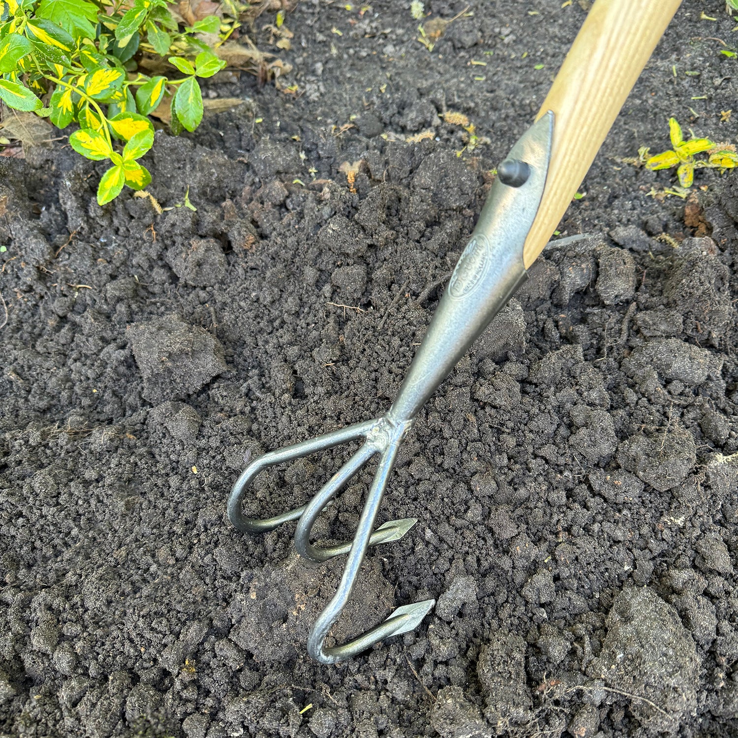 DeWit Cultivator - Flat 3-Tine with Long Handle