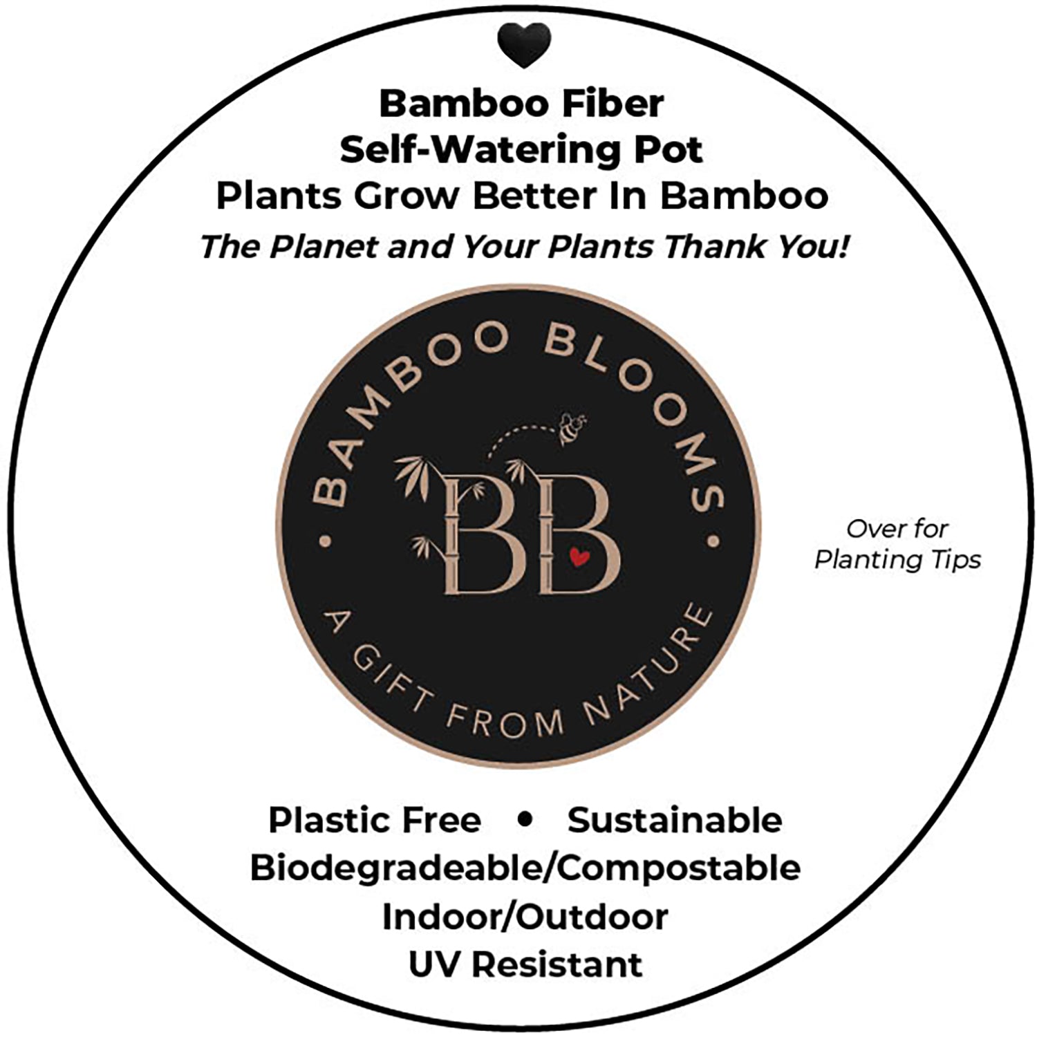 Self-Watering Bamboo Pot - 10" Cream Round