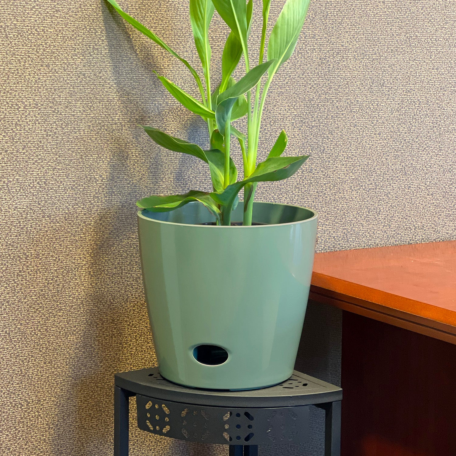 Self-Watering Bamboo Pot - 10" Sage Round