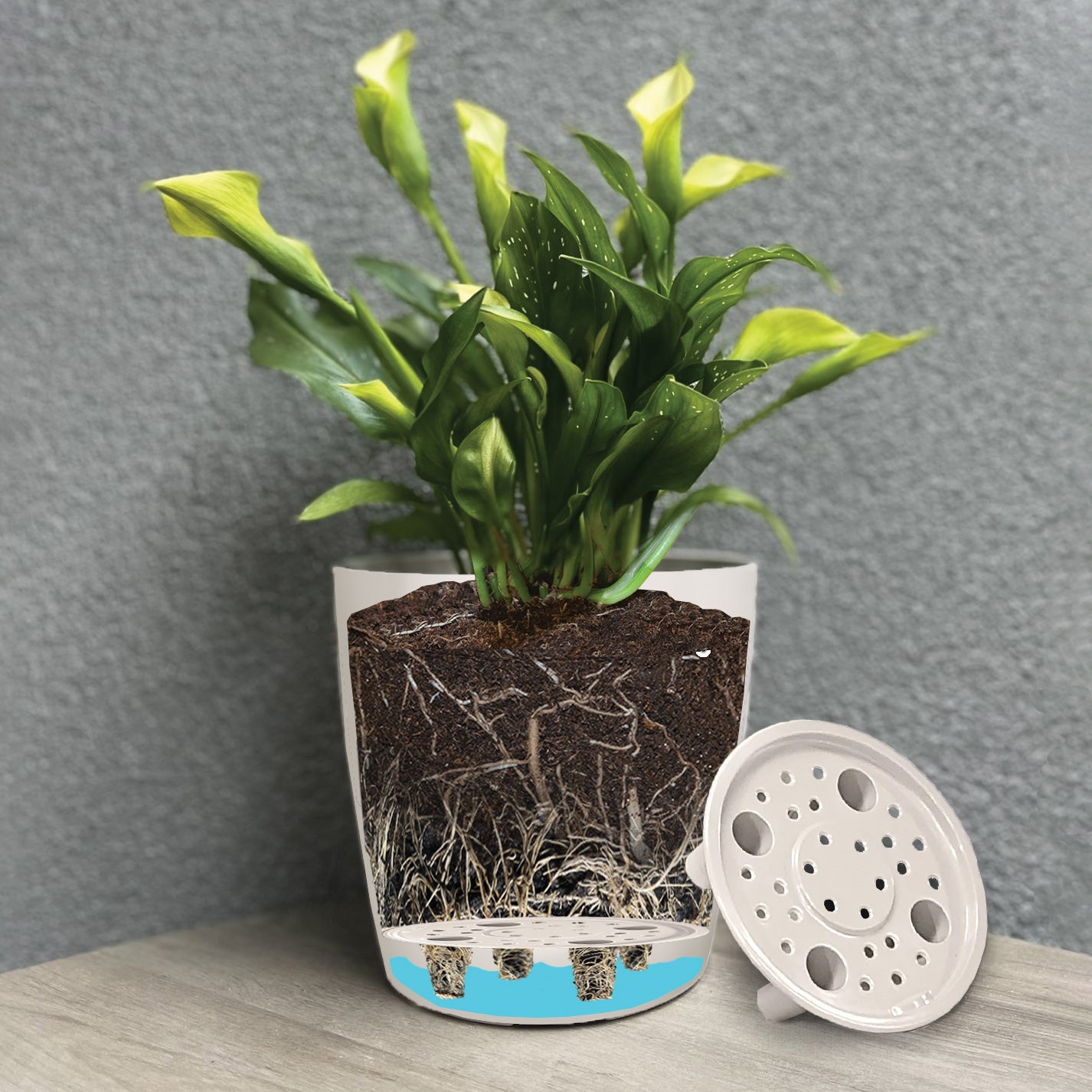 Self-Watering Bamboo Pot - 10" Sage Round