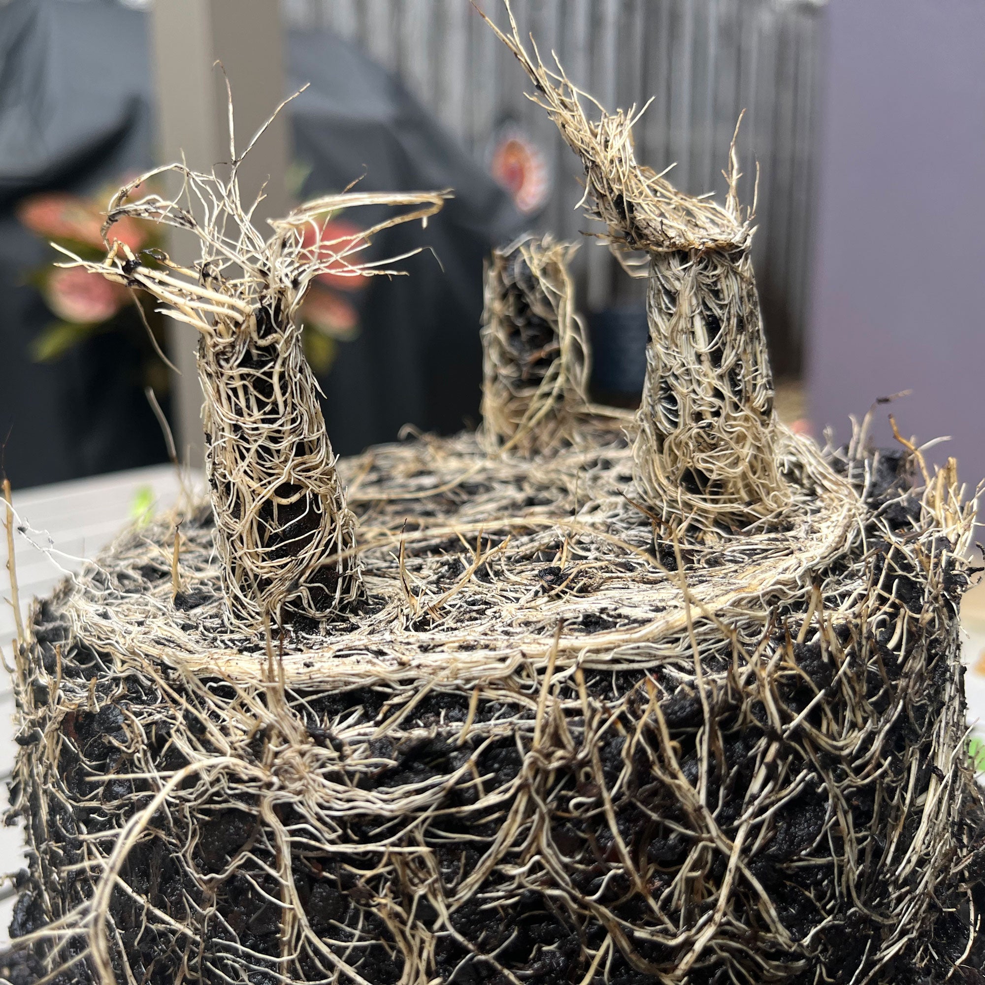 5" Round Self-Watering Bamboo Pot - Pink Flower