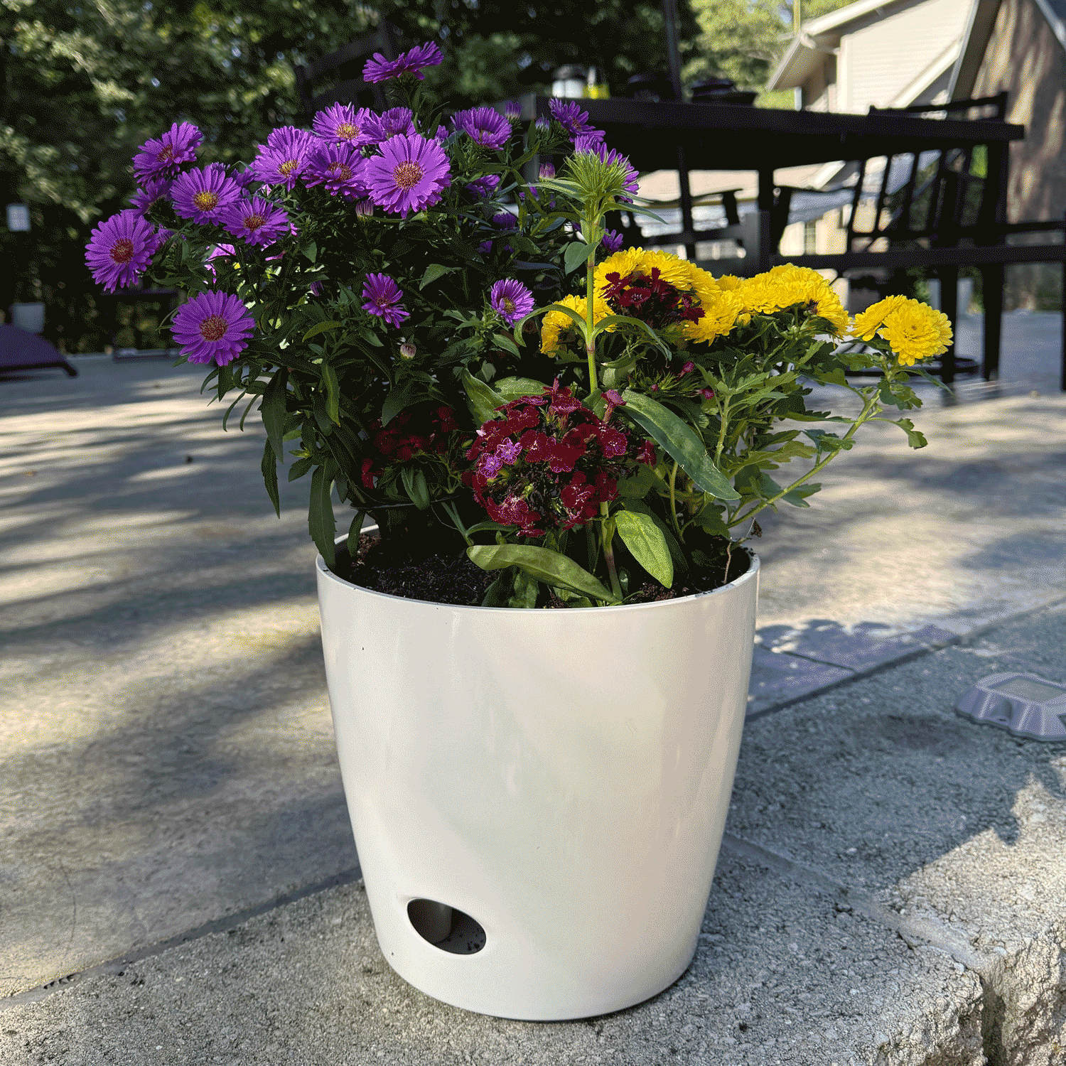 Self-Watering Bamboo Pot - 10" Cream Round