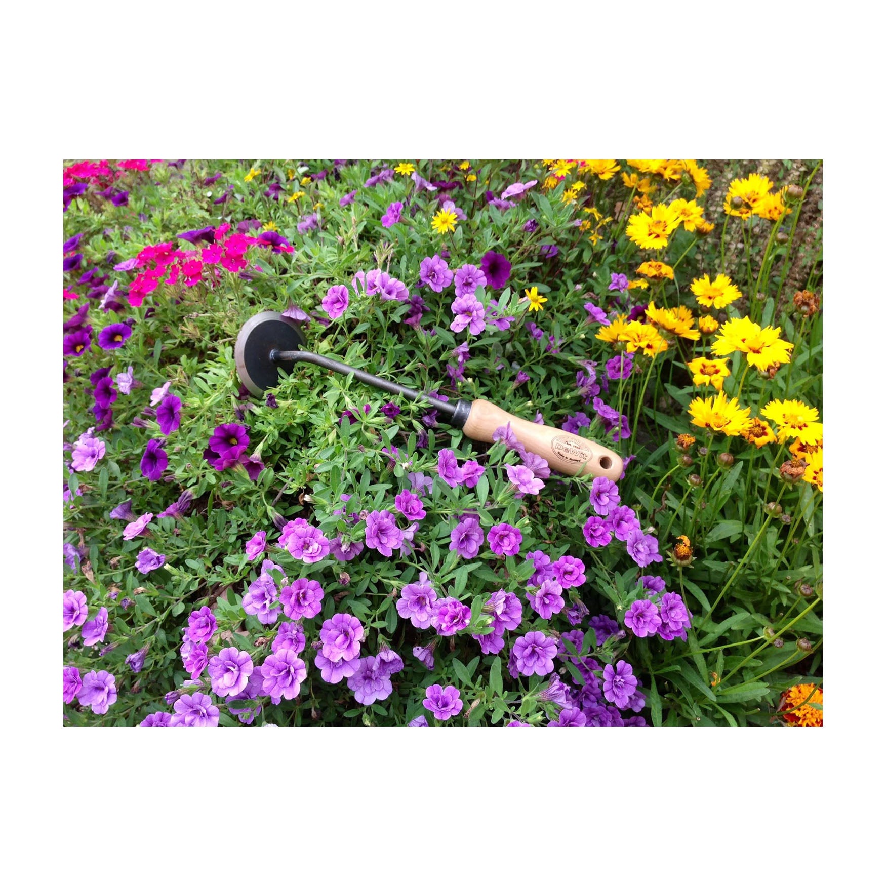DeWit Weeder - Disc with 10" Handle