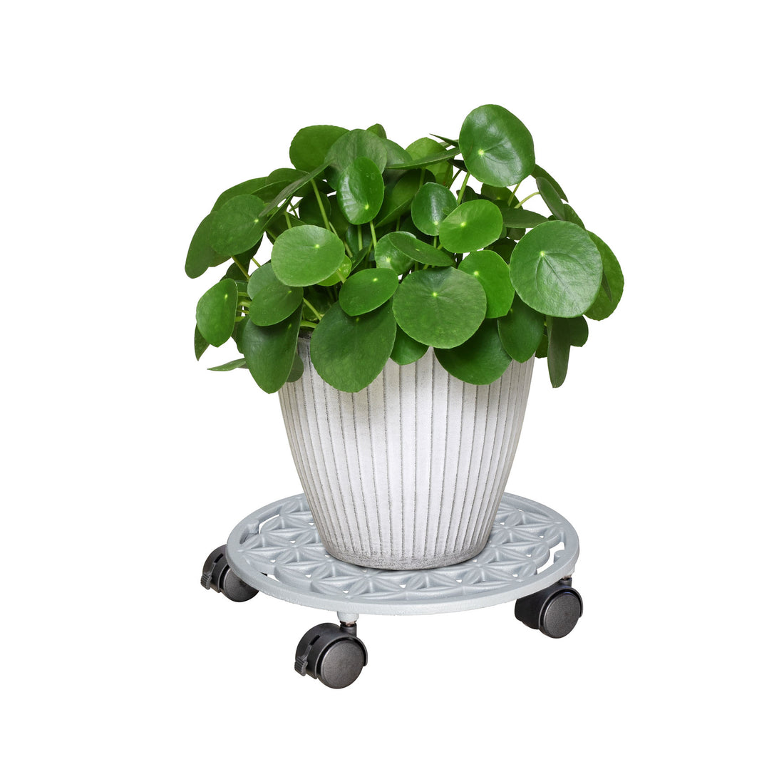 Cast Iron Plant Caddy - 11.4" Smoke Gray Round