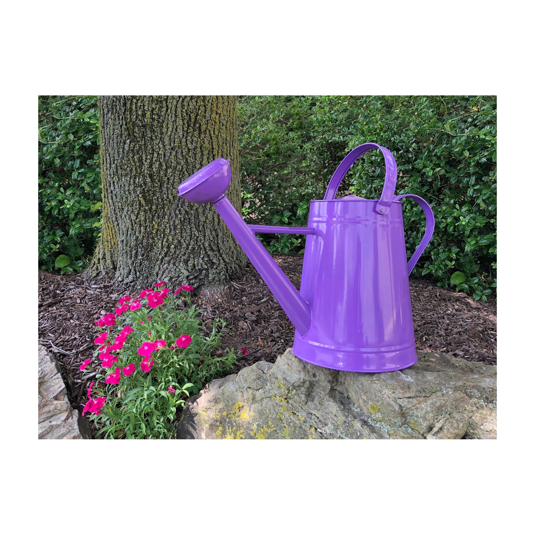Metal Watering Can - 2.1 gal Violet