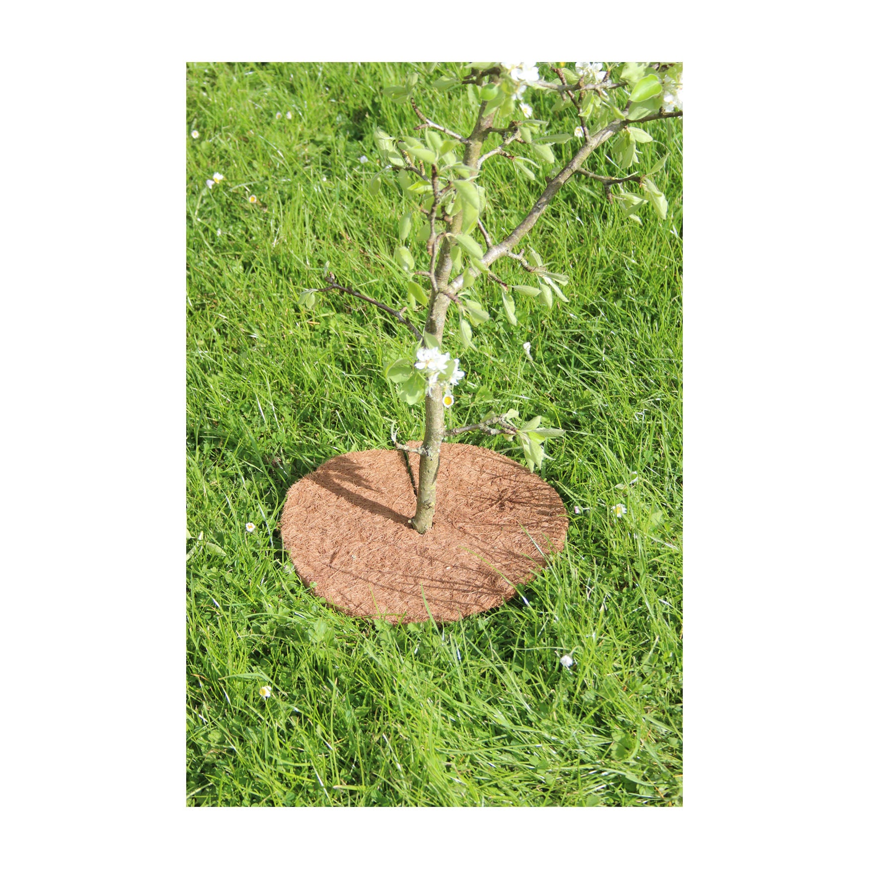 Coco Tree Mat (3 pack) - 12" Round