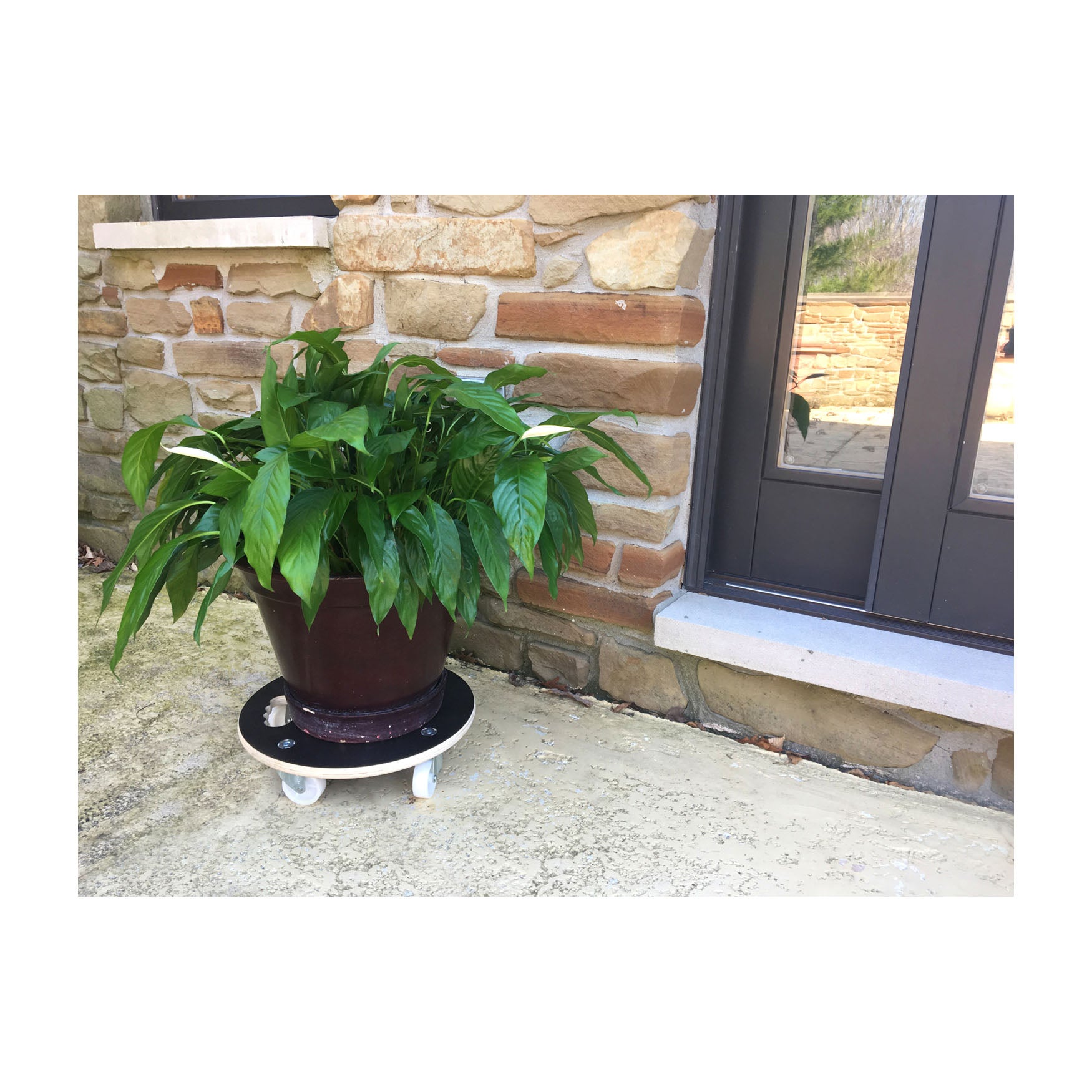 MaxiGrip Plant Caddy - 15" Black Round