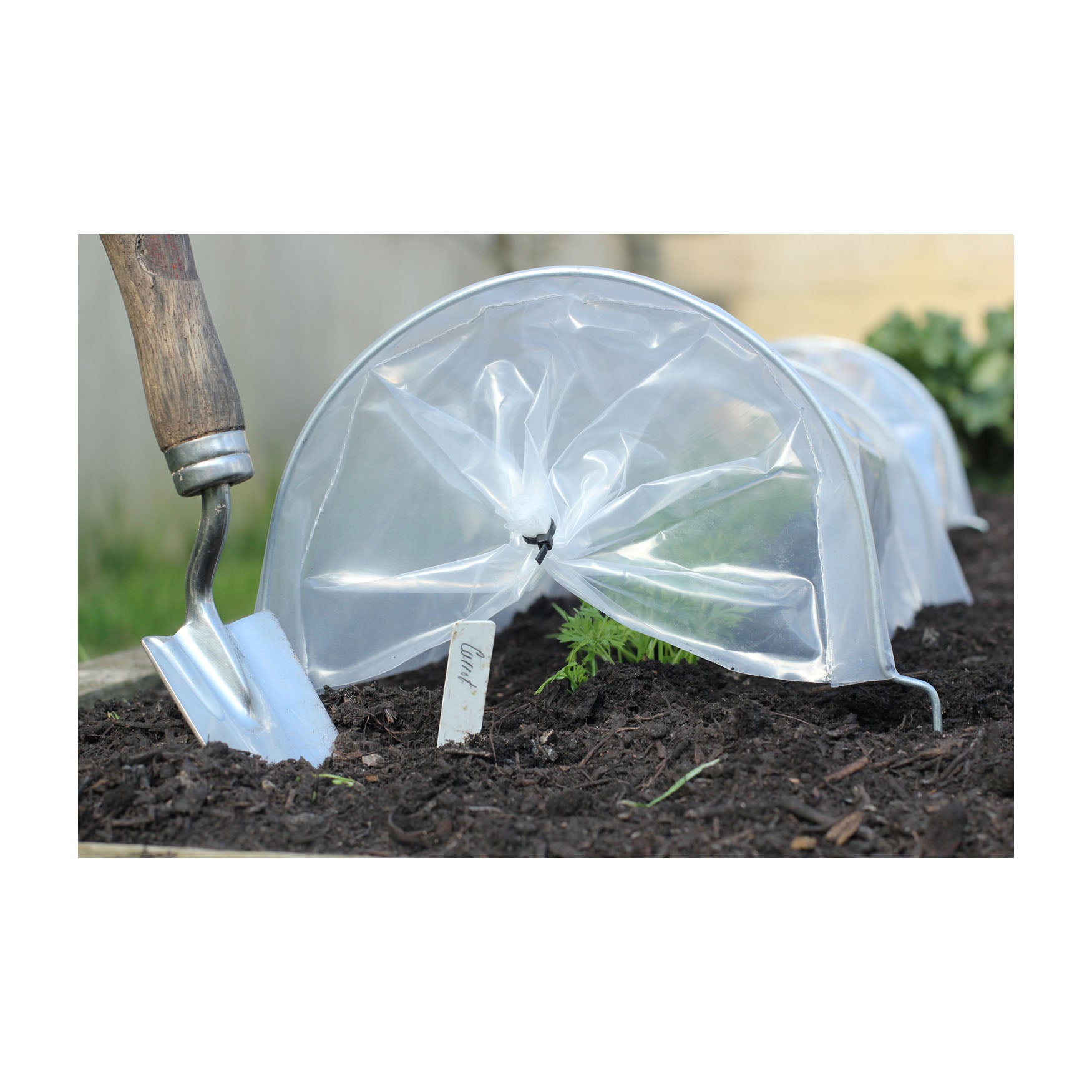 Easy Seedling Tunnel (3 pack)