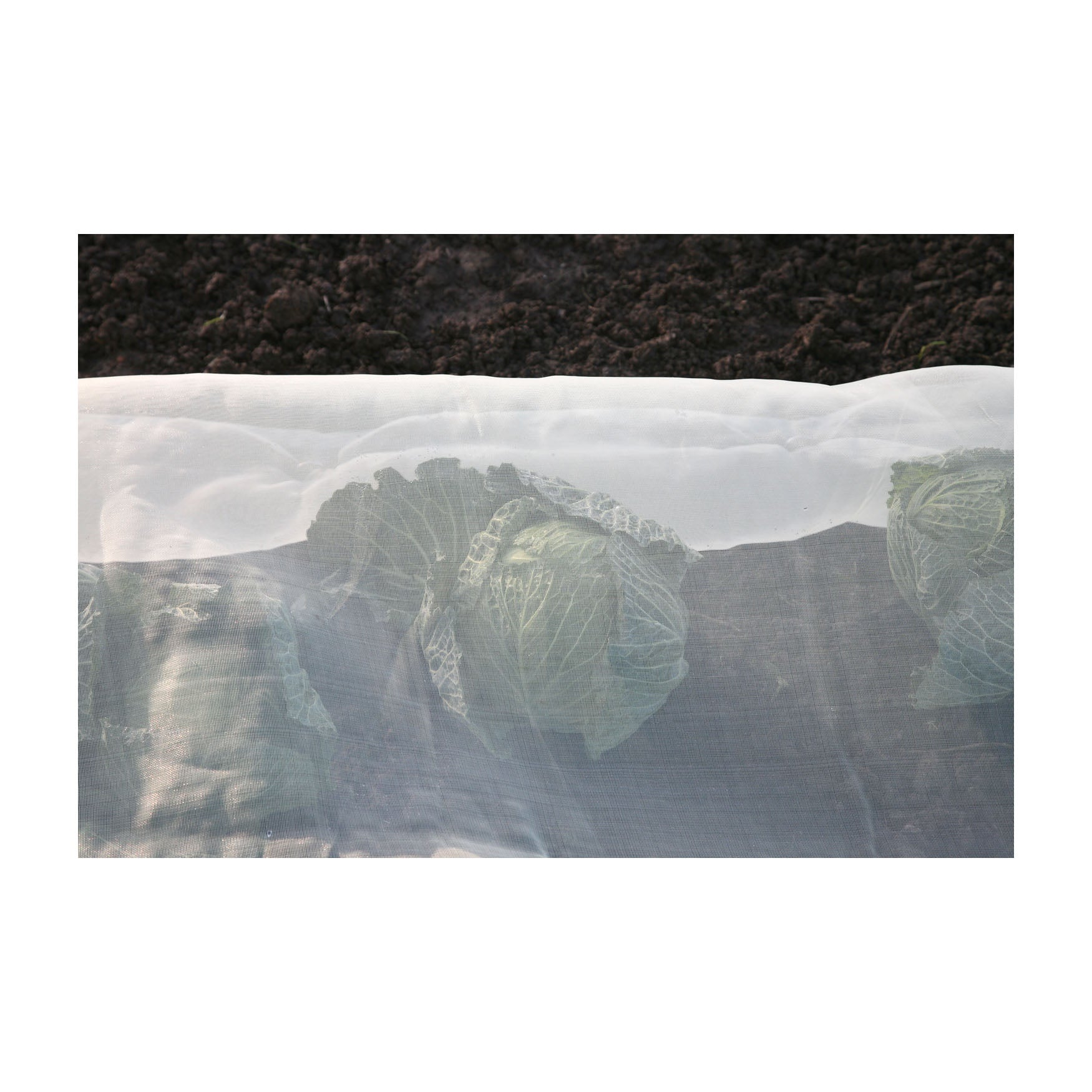 Micromesh Blanket - Pre-Cut 16&