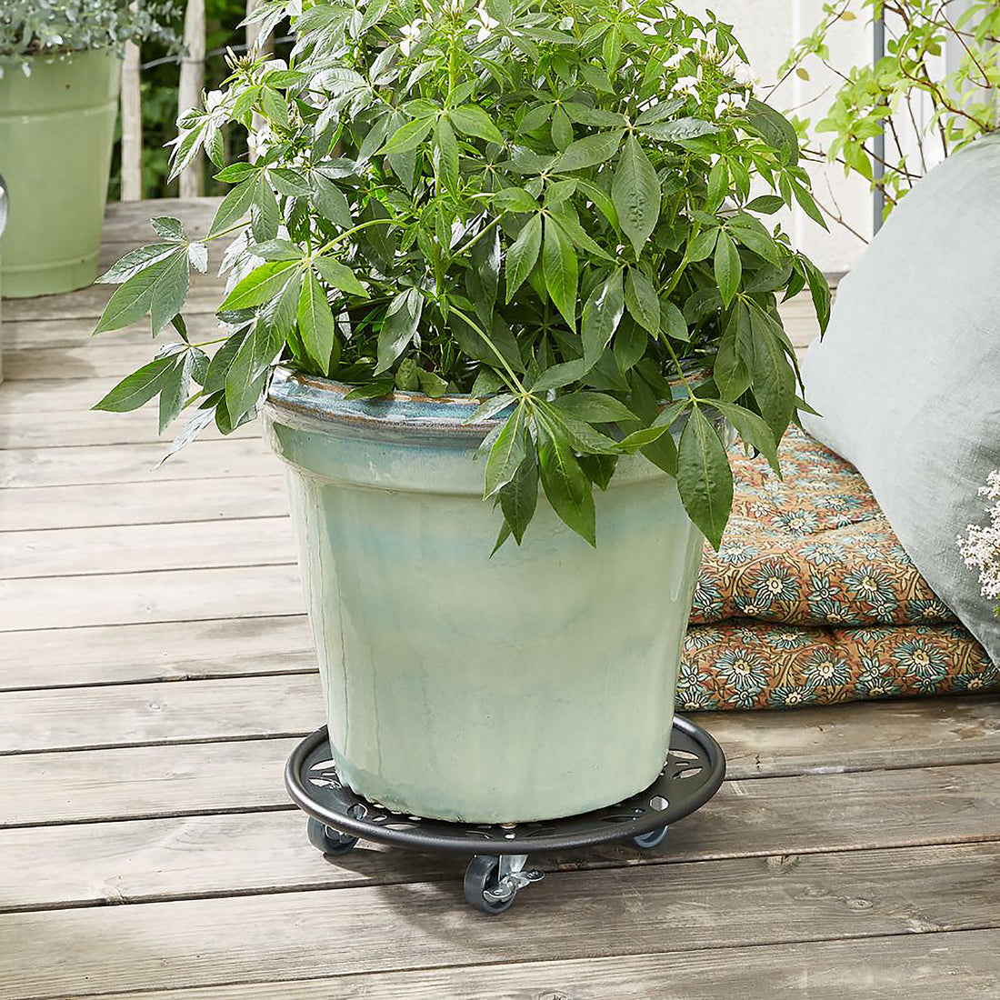 Steel Plant Caddy - 11.8" Black Round Flower