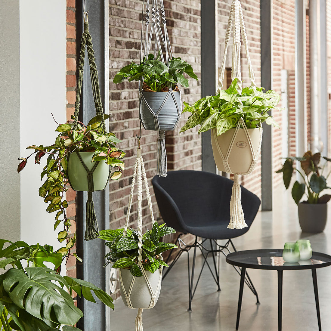 Macrame Hanger - 35" Shiny Gray