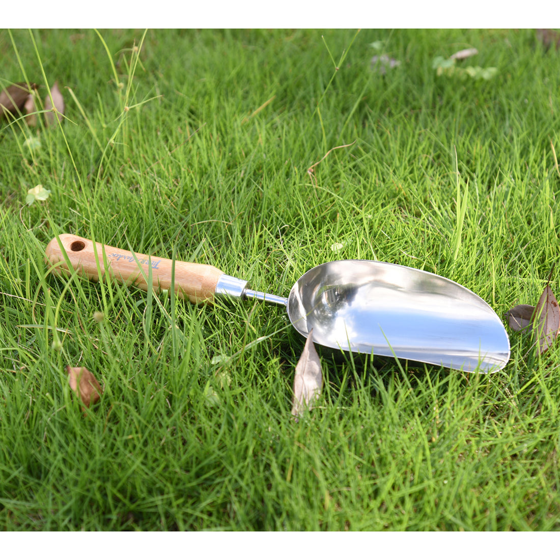 Tierra Stainless Steel Scoop with Bamboo Handle