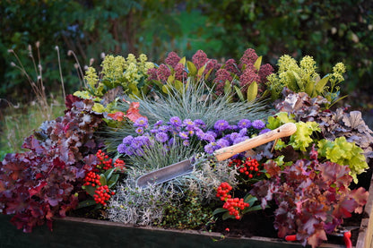 DeWit Trowel - Rock-N-Root with Midsize Handle