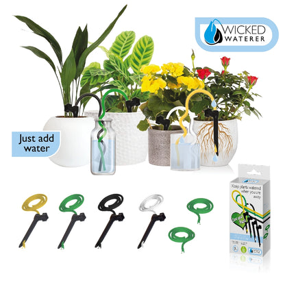 Plant Spike Watering Kit - pack of 4