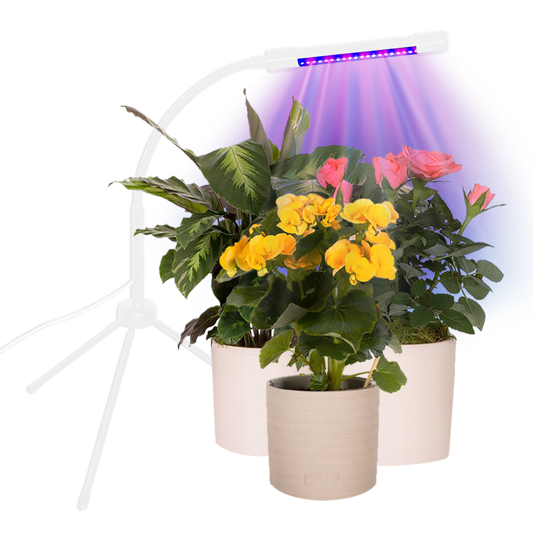 Plant Booster Grow Light