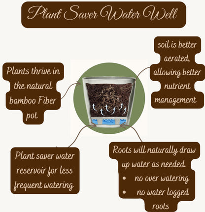 16" Rectangular Self-Watering Bamboo Planter - Black