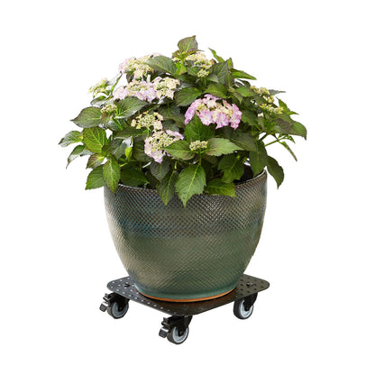 Aluminum Plant Caddy - 11.4" Black Square