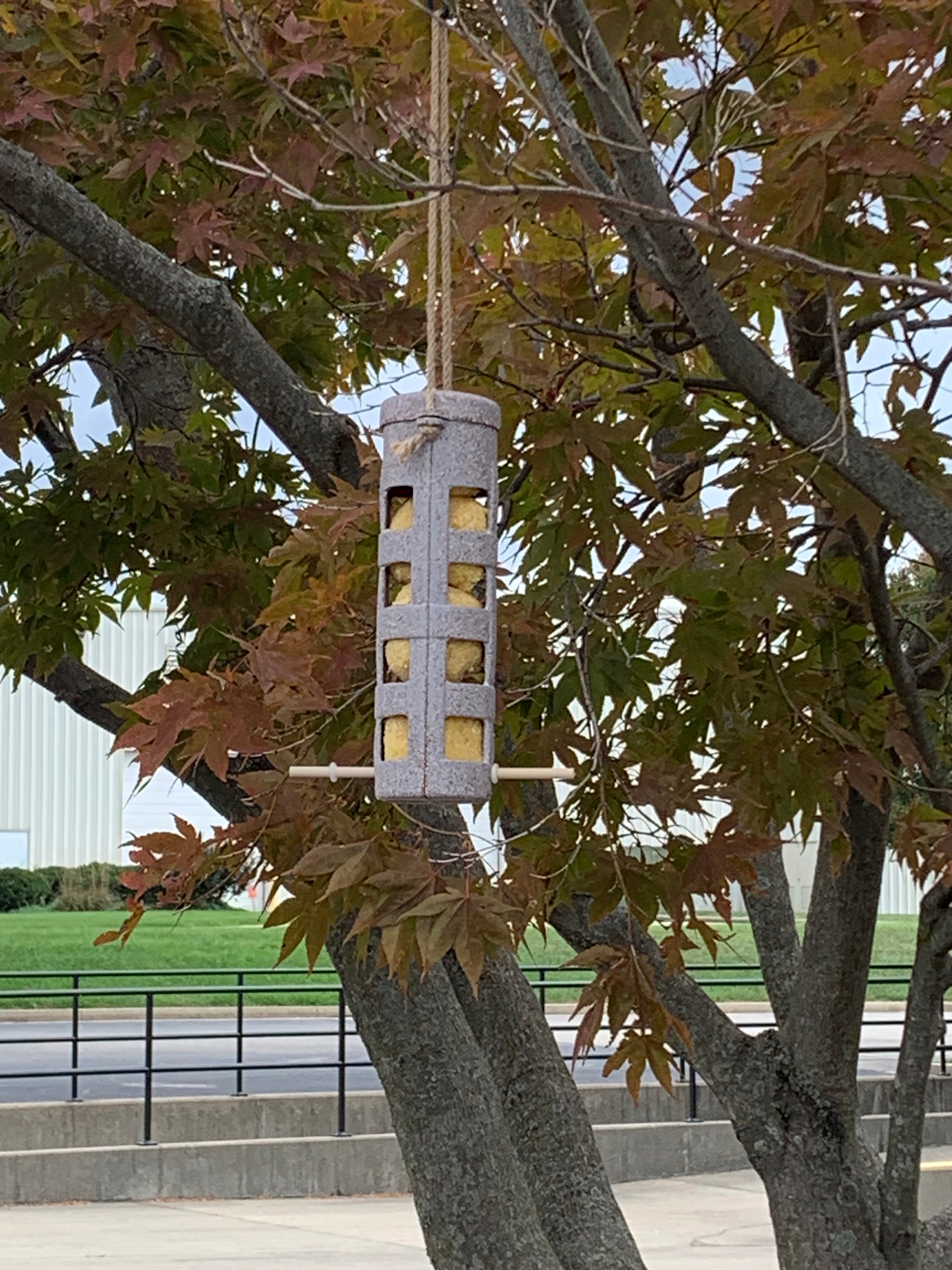 Suet Ball Feeder - Nut Husks