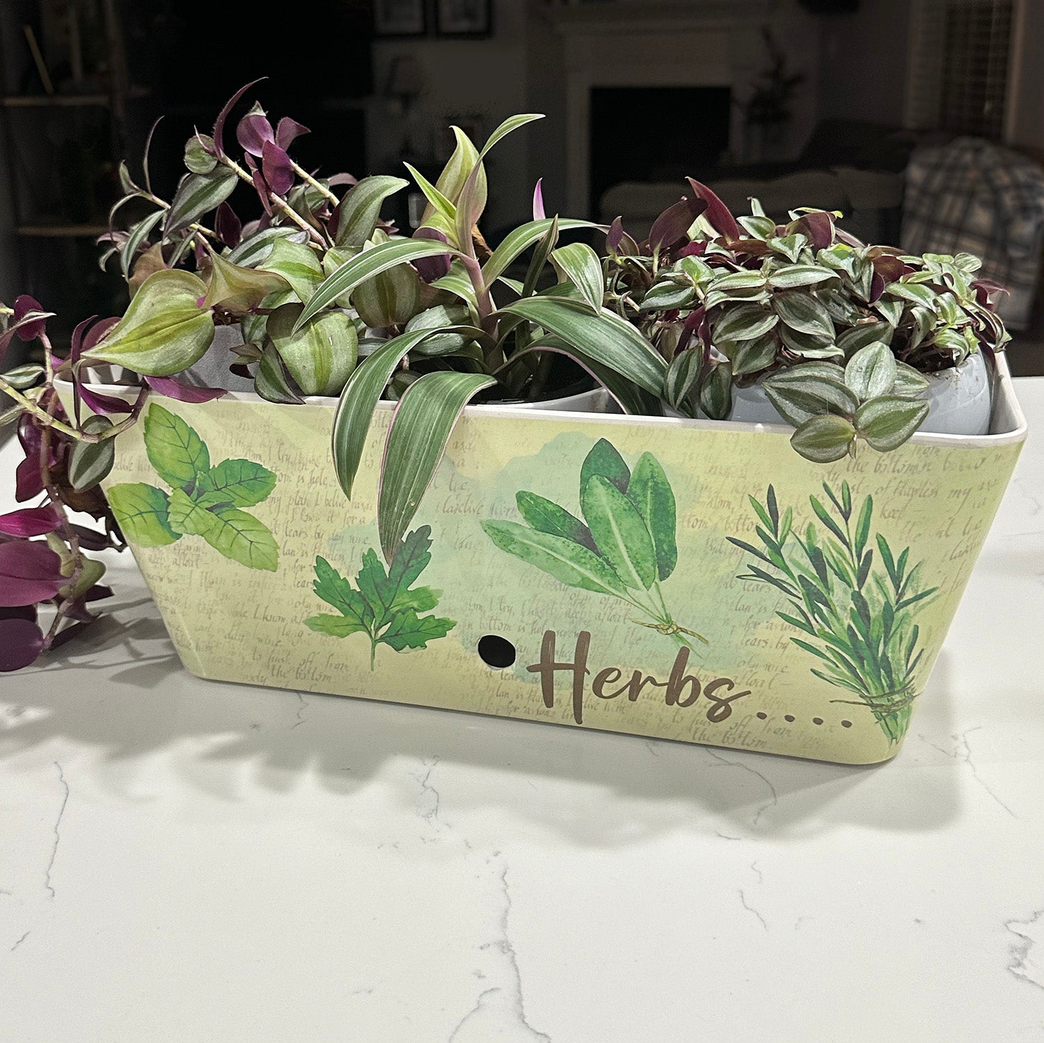 16" Rectangular Self-Watering Bamboo Planter - Herbs