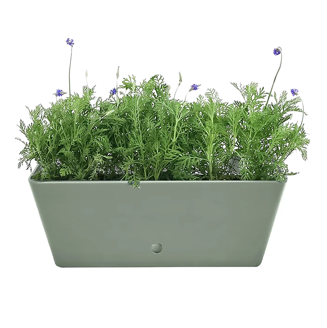 16" Rectangular Self-Watering Bamboo Planter - Sage Green