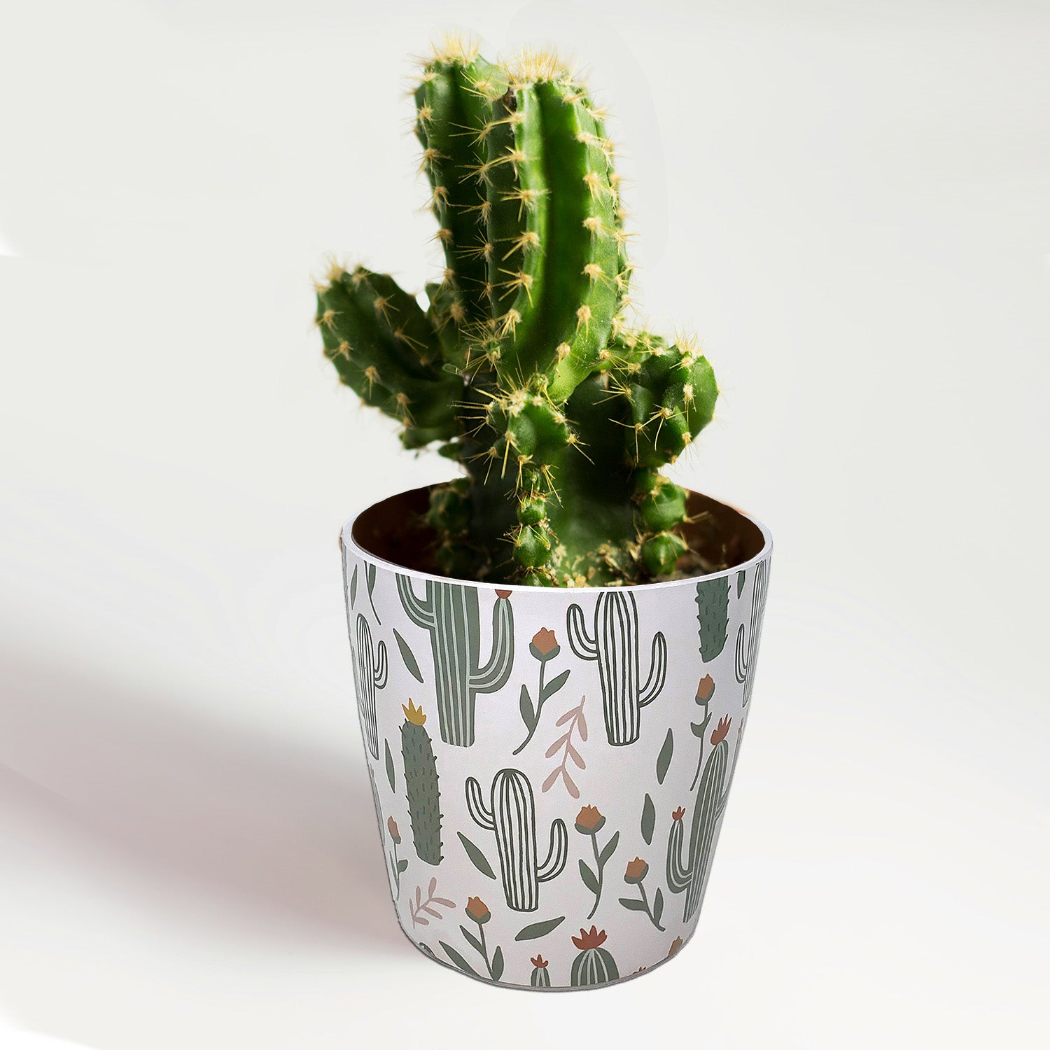 Self-Watering Bamboo Pot - 7" Cactus Round