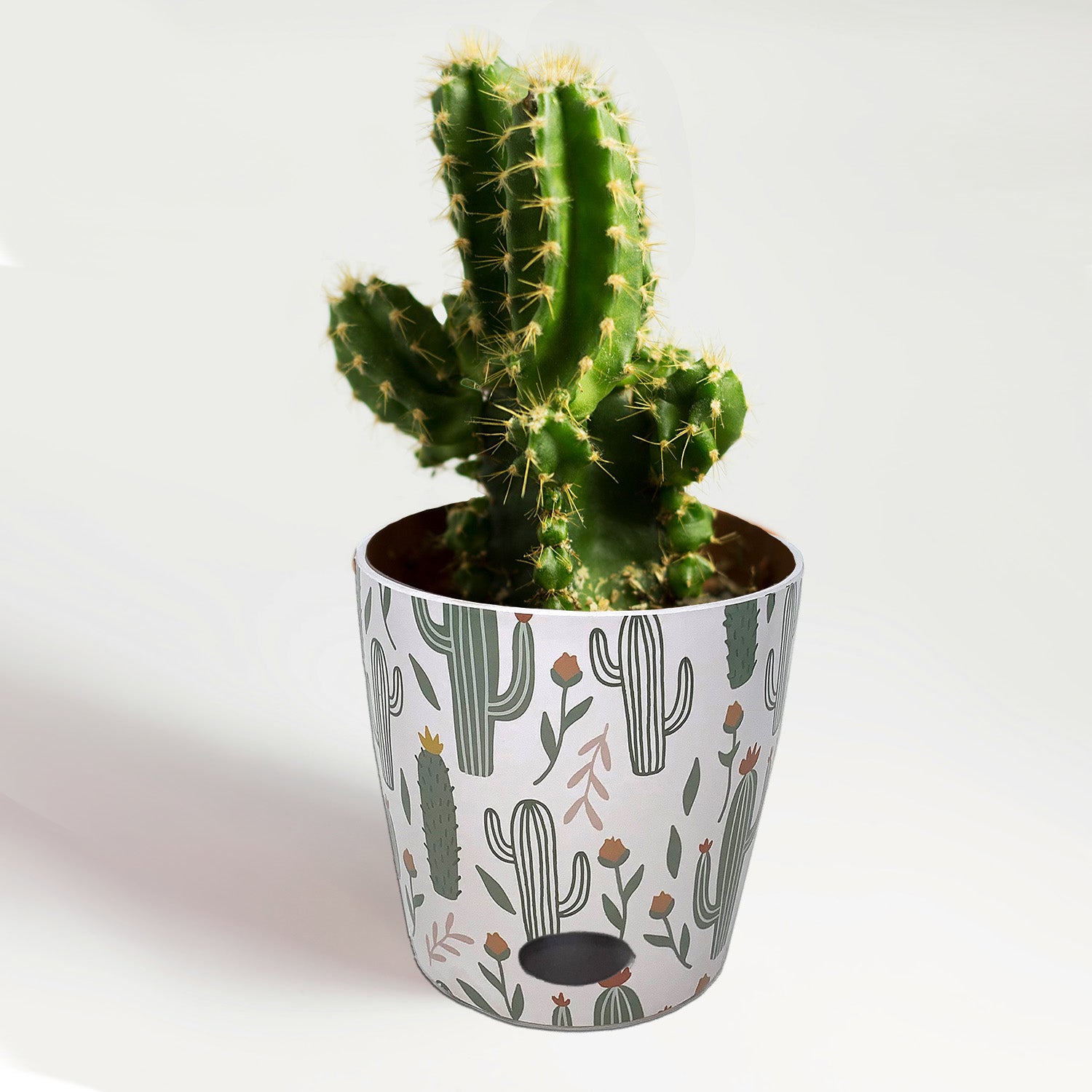 Self-Watering Bamboo Pot - 7" Cactus Round