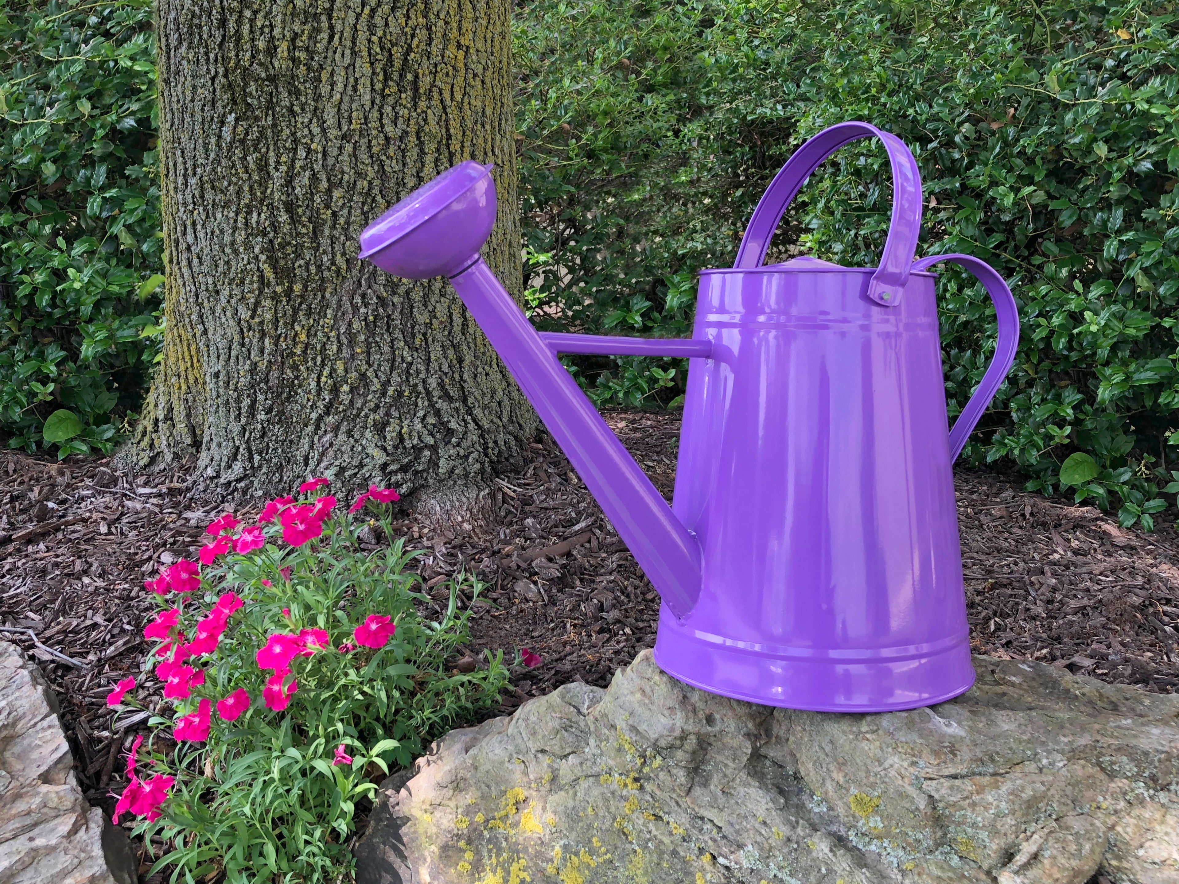 Metal Watering Can &amp; Memory Foam Kneel Cushion Combo - 1.2 gal Violet