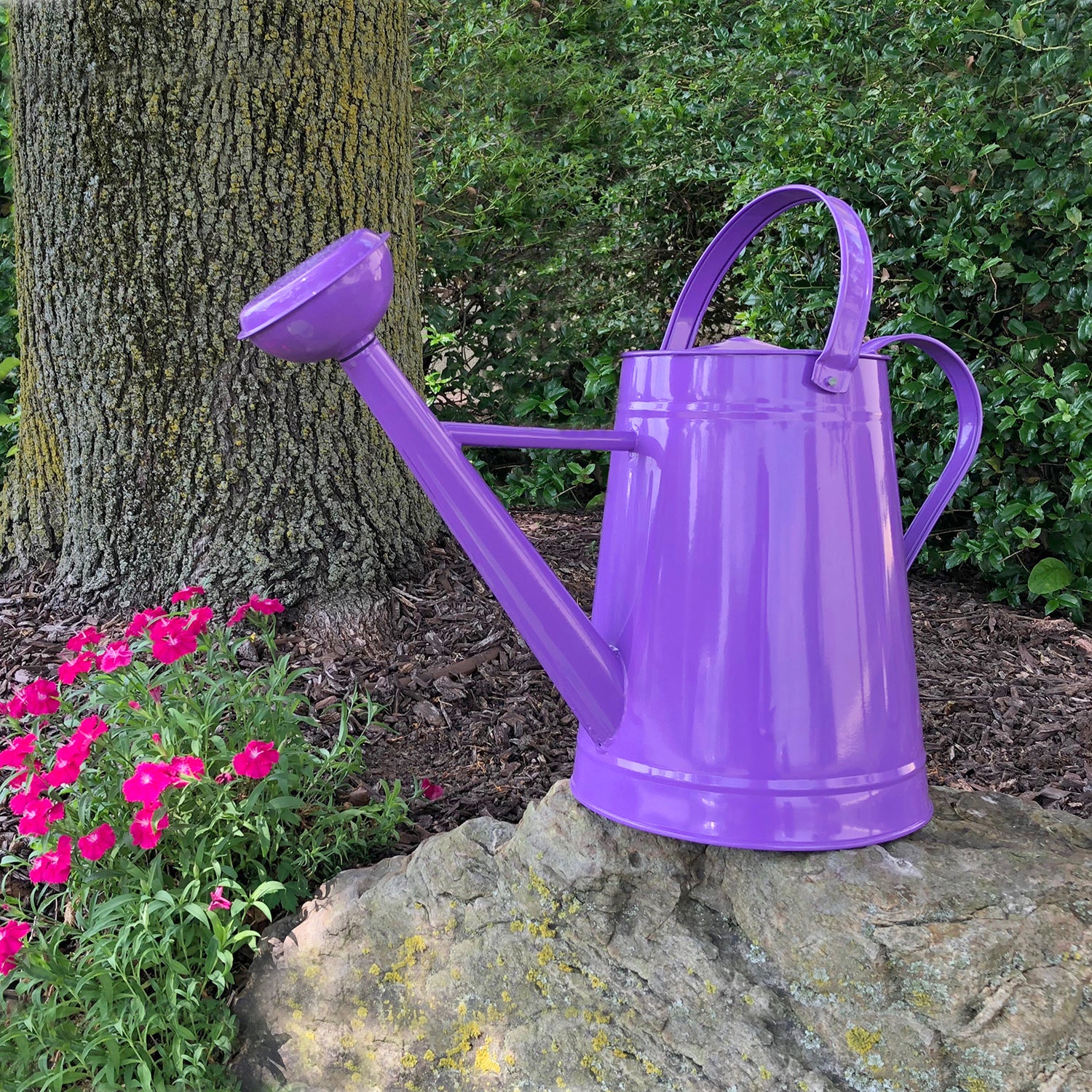 Metal Watering Can &amp; Memory Foam Kneel Cushion - 2.1 gal Violet