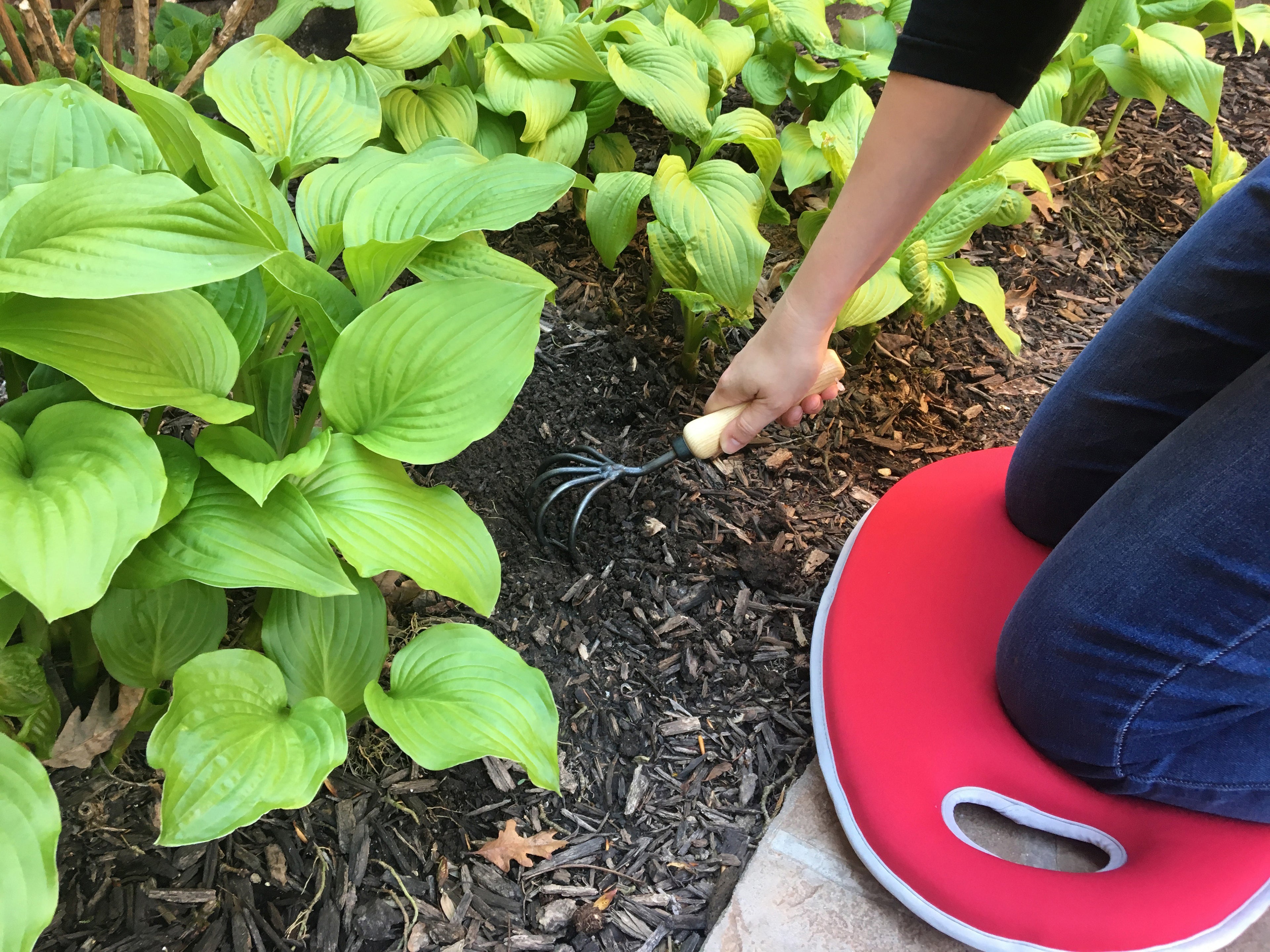 Metal Watering Can &amp; Memory Foam Kneel Cushion Combo - 2.1 gal Red