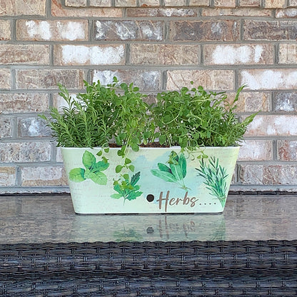 16" Rectangular Self-Watering Bamboo Planter - Herbs