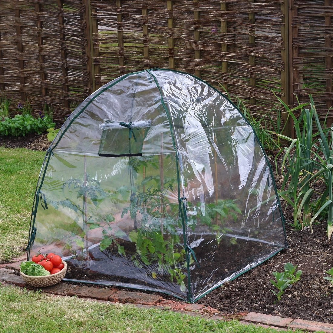 Easy Poly Dome - Giant