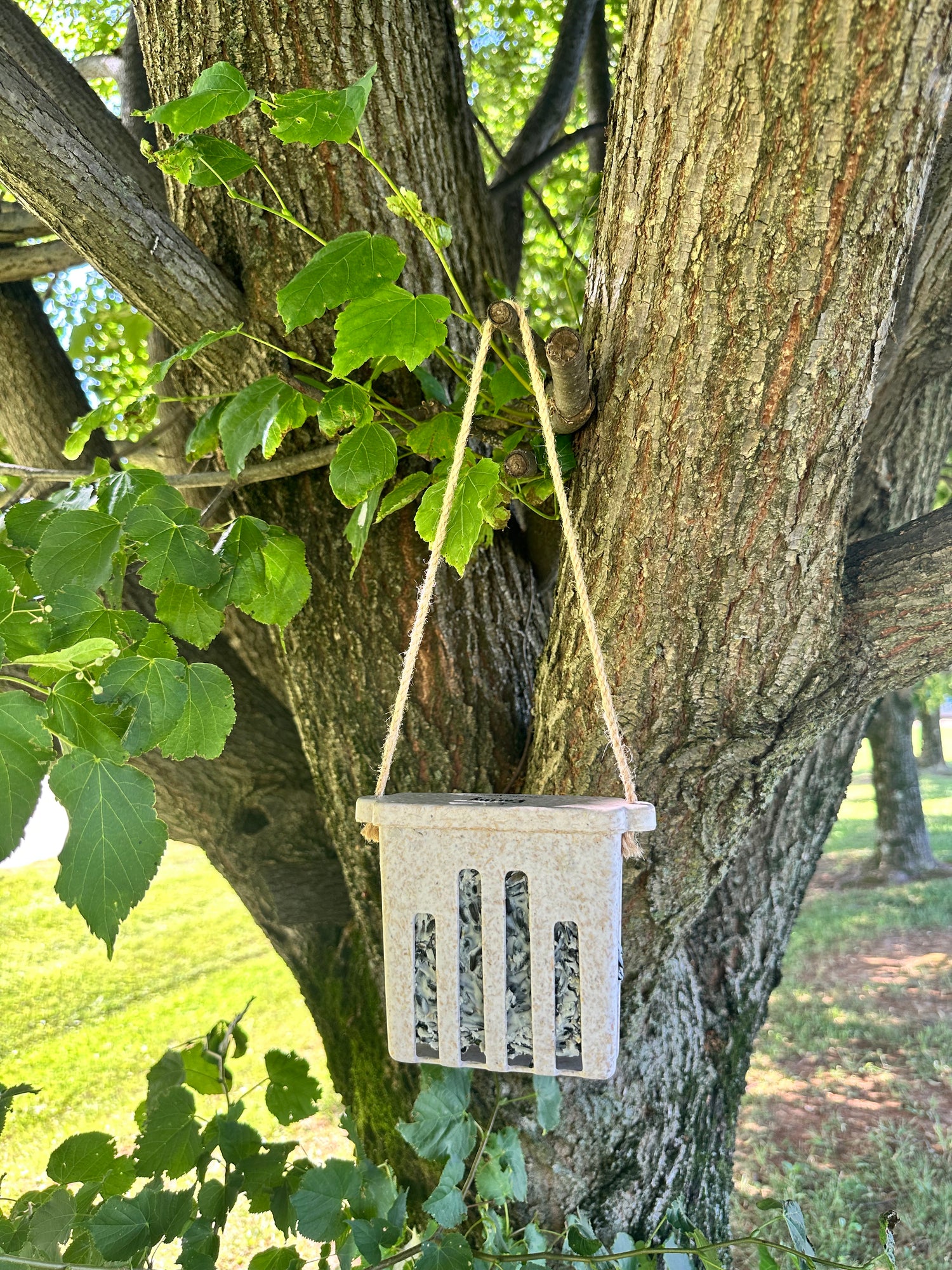 Suet Cake Feeder - Chaff