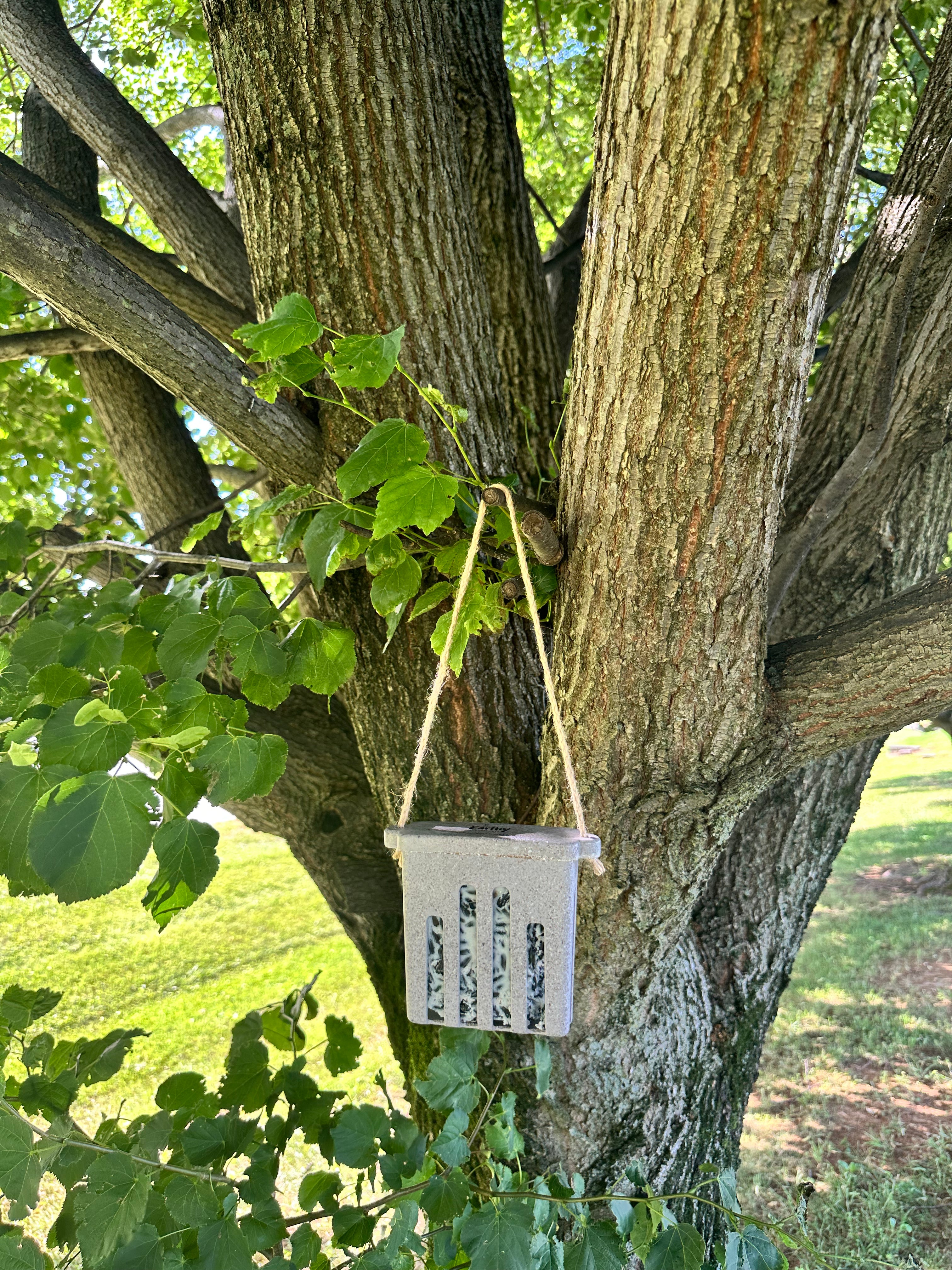 Suet Cake Feeder - Nut Husks