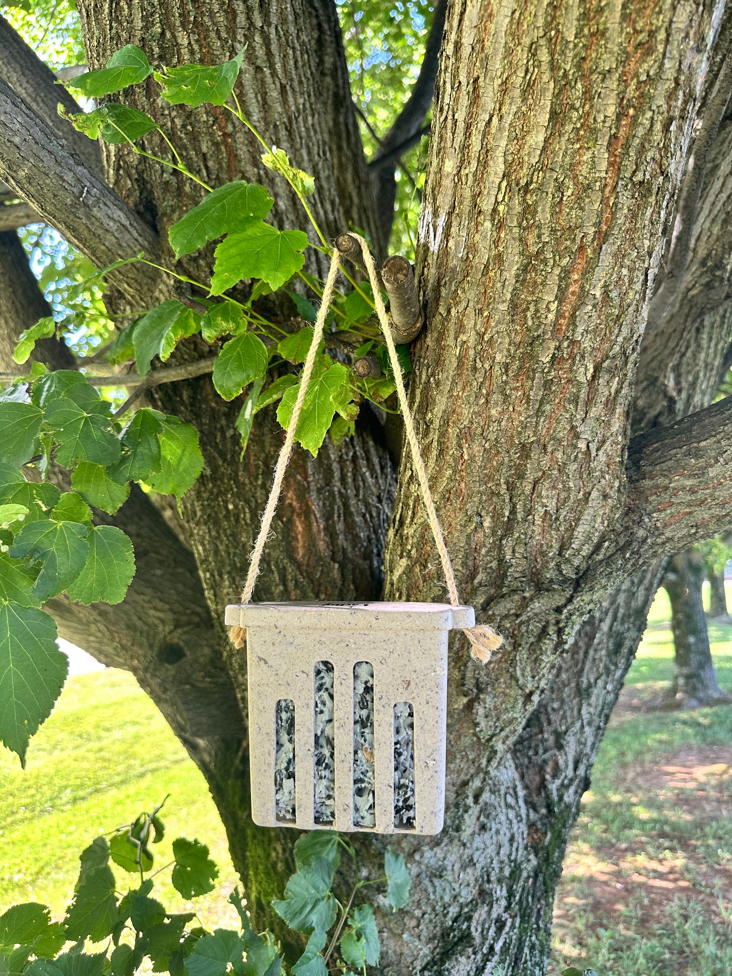 Suet Cake Feeder - Coffee Husks
