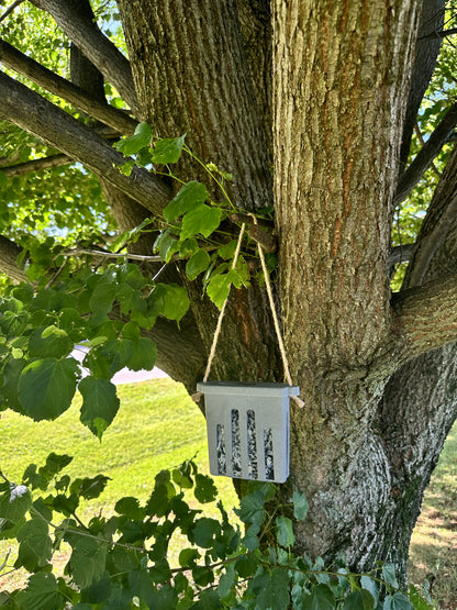 Suet Cake Feeder - Straw