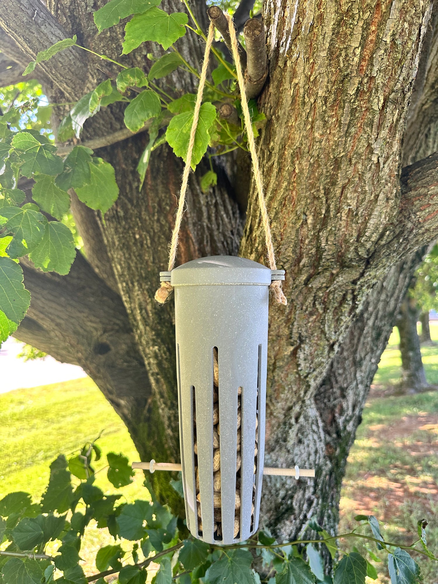 Peanut Feeder - Straw